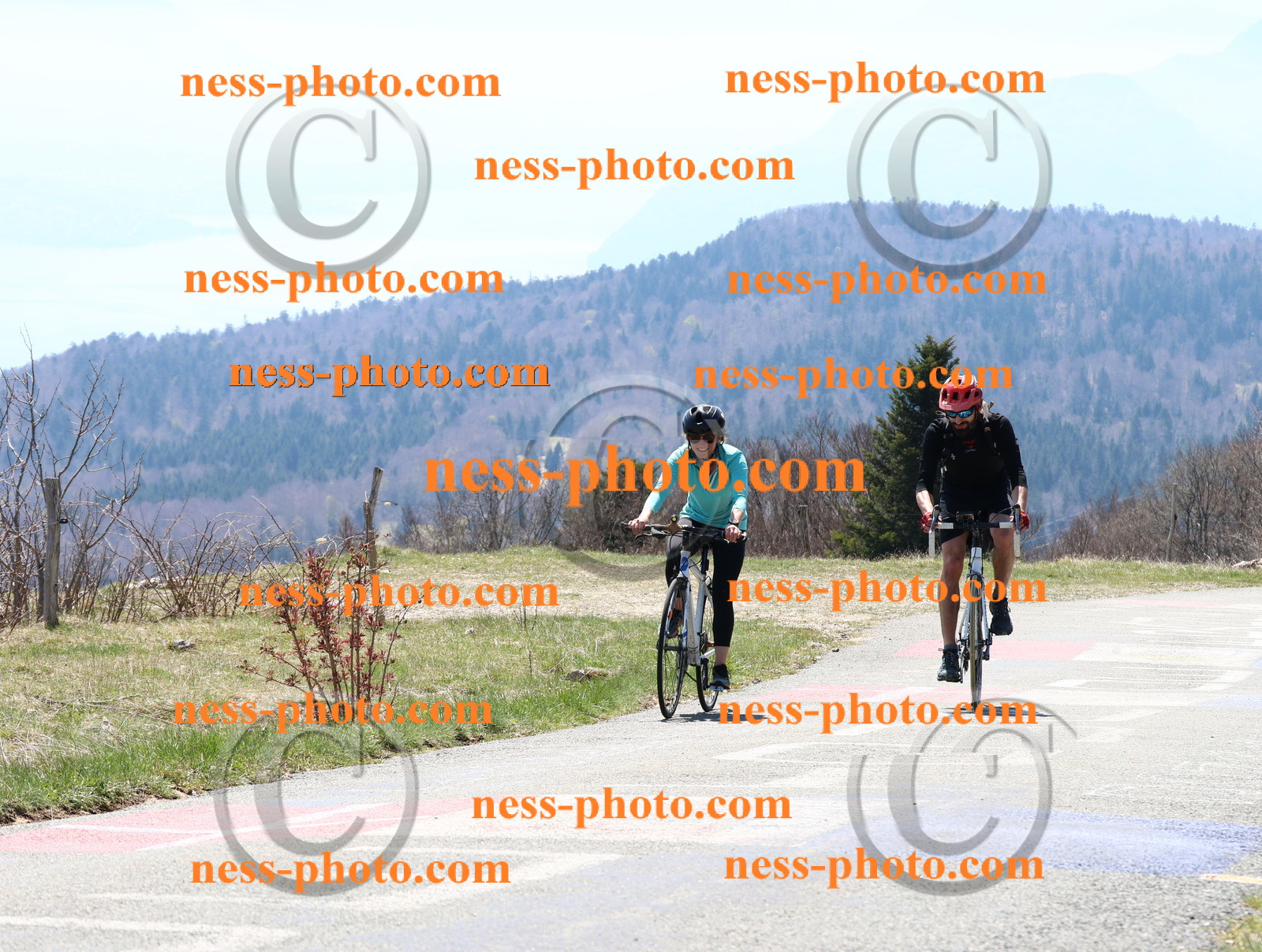 Col du Grand Colombier (229).JPG