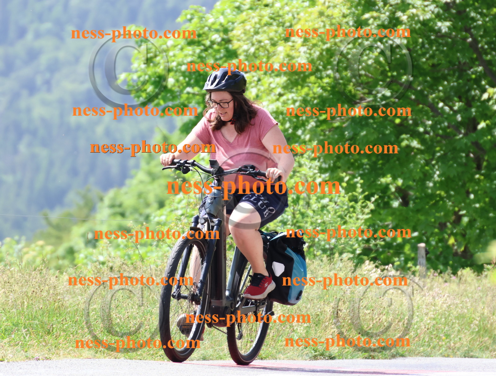 Col du grand Colombier (1443).JPG