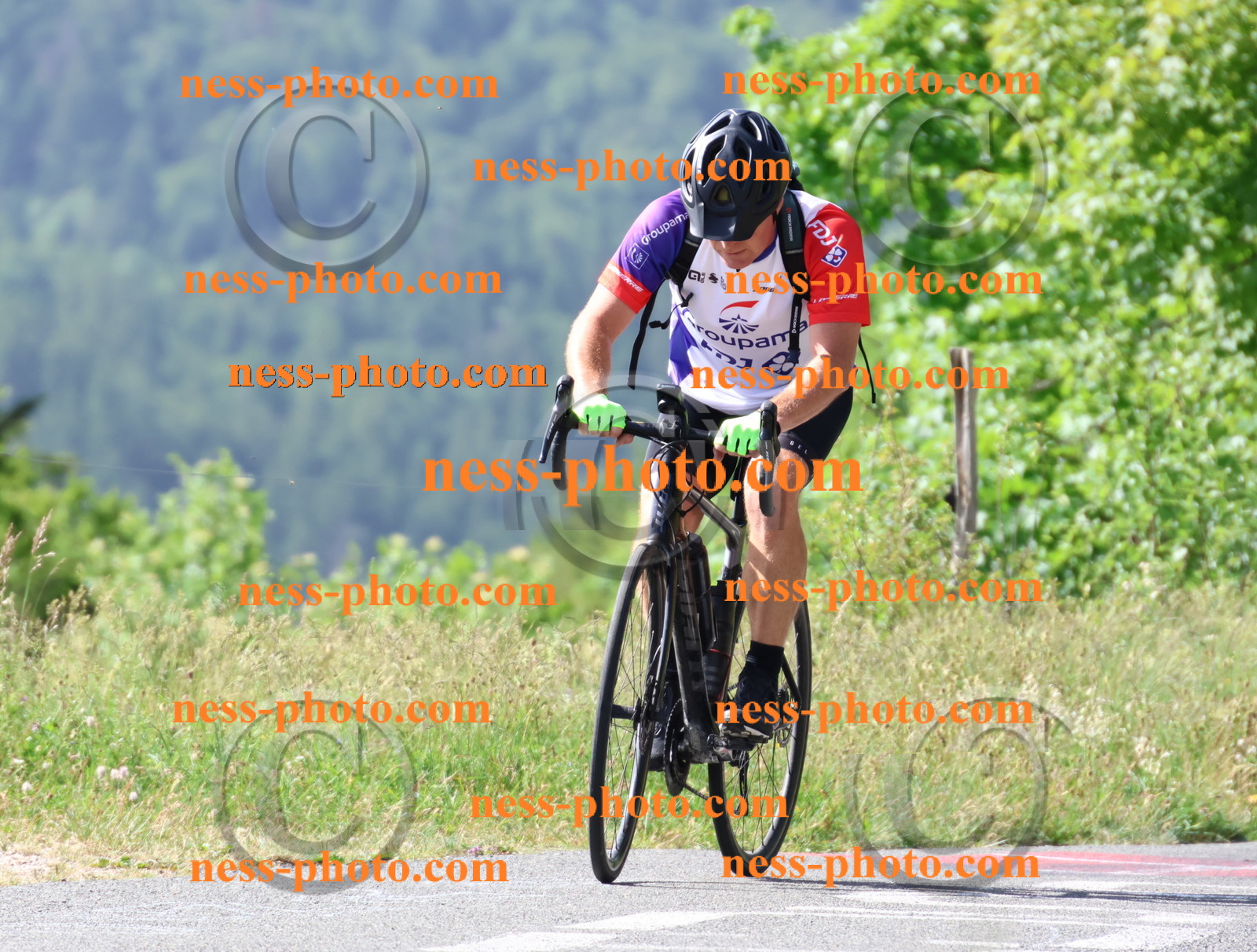 Col du grand Colombier (502).JPG