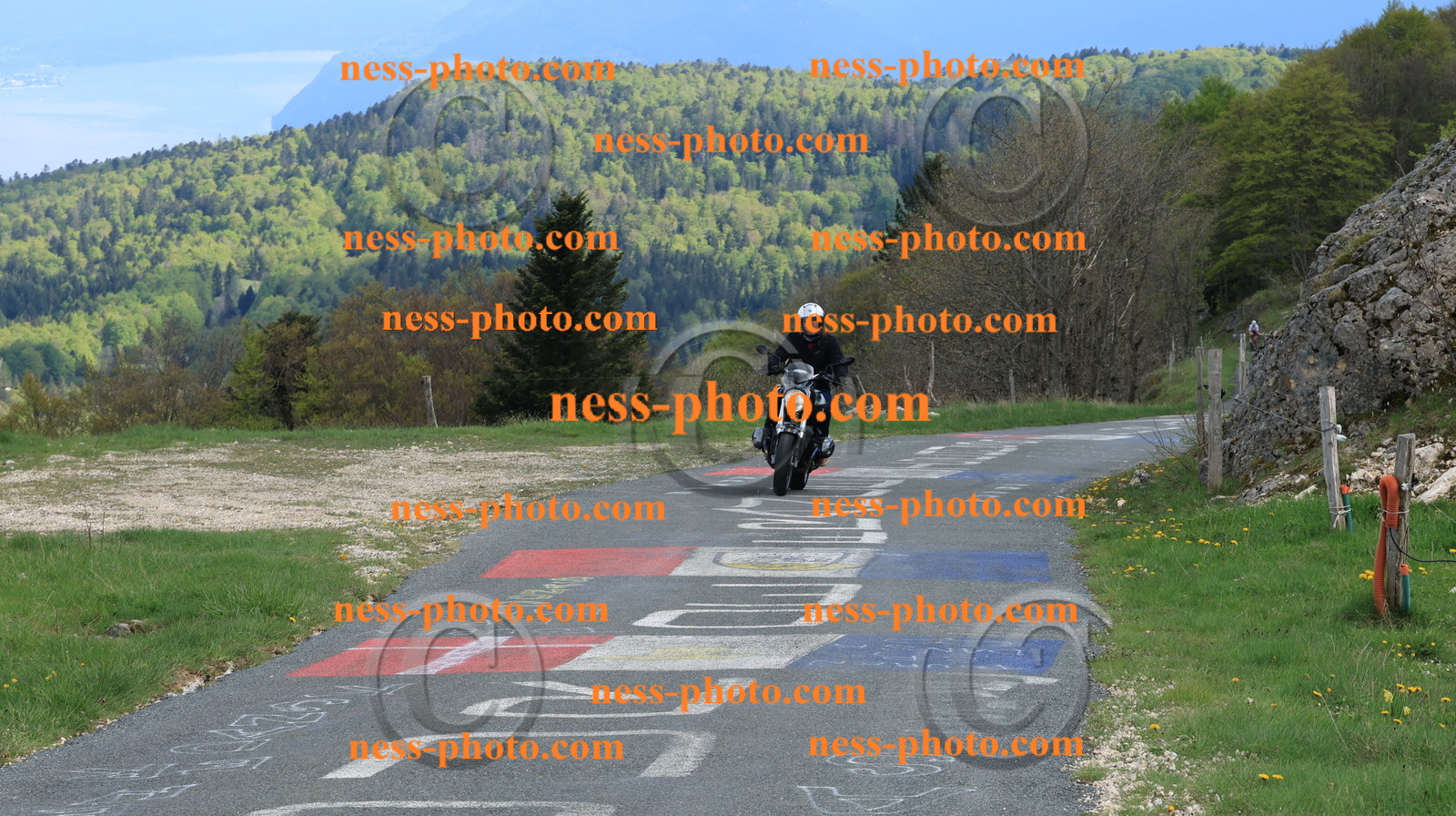 Col du Grand Colombier (278).JPG