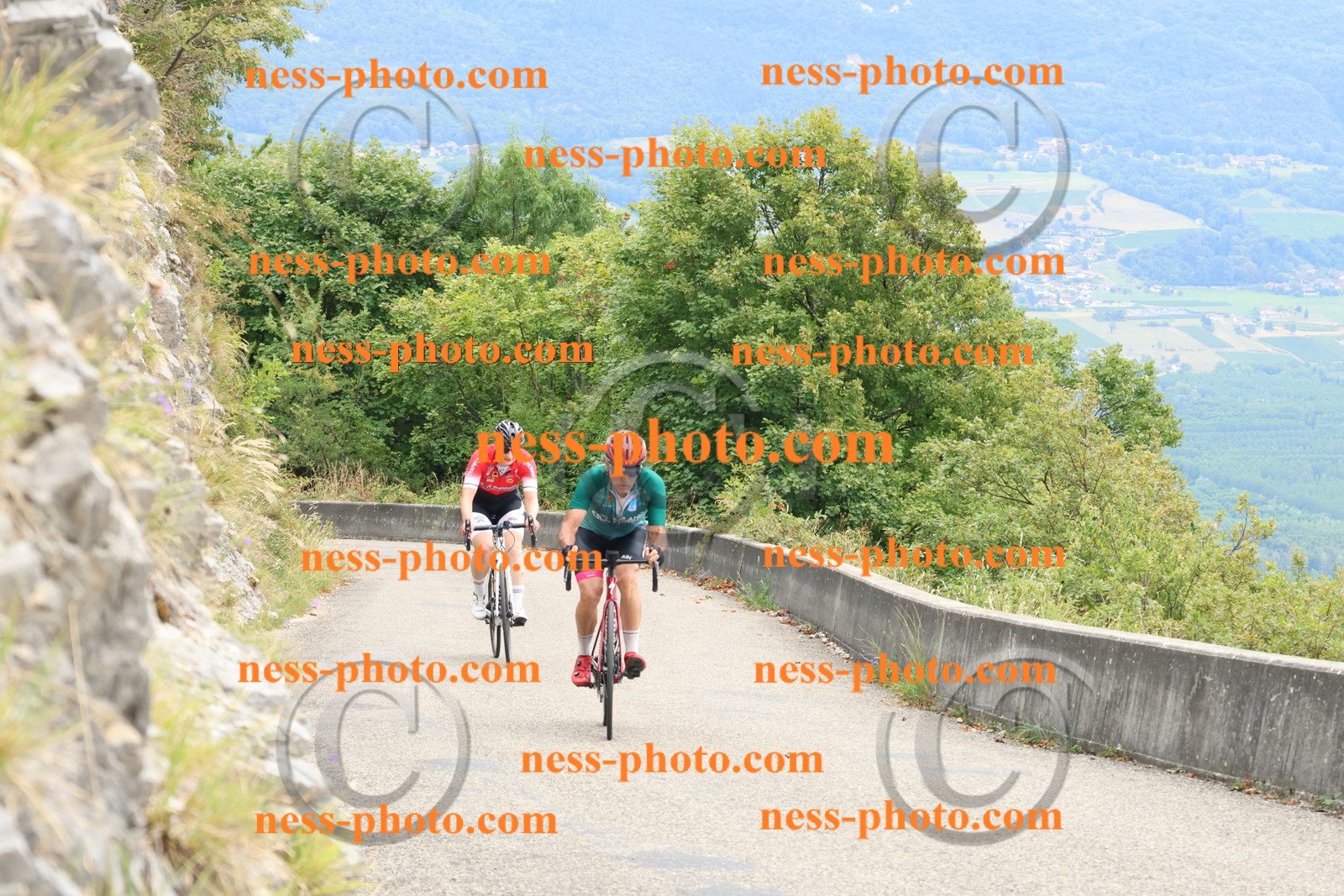 Col du Grand Colombier (357).JPG