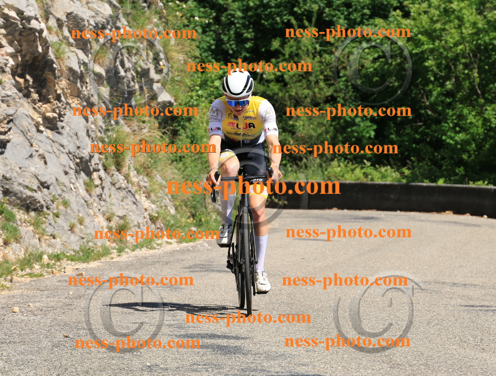 Col du Grand Colombier (709).JPG