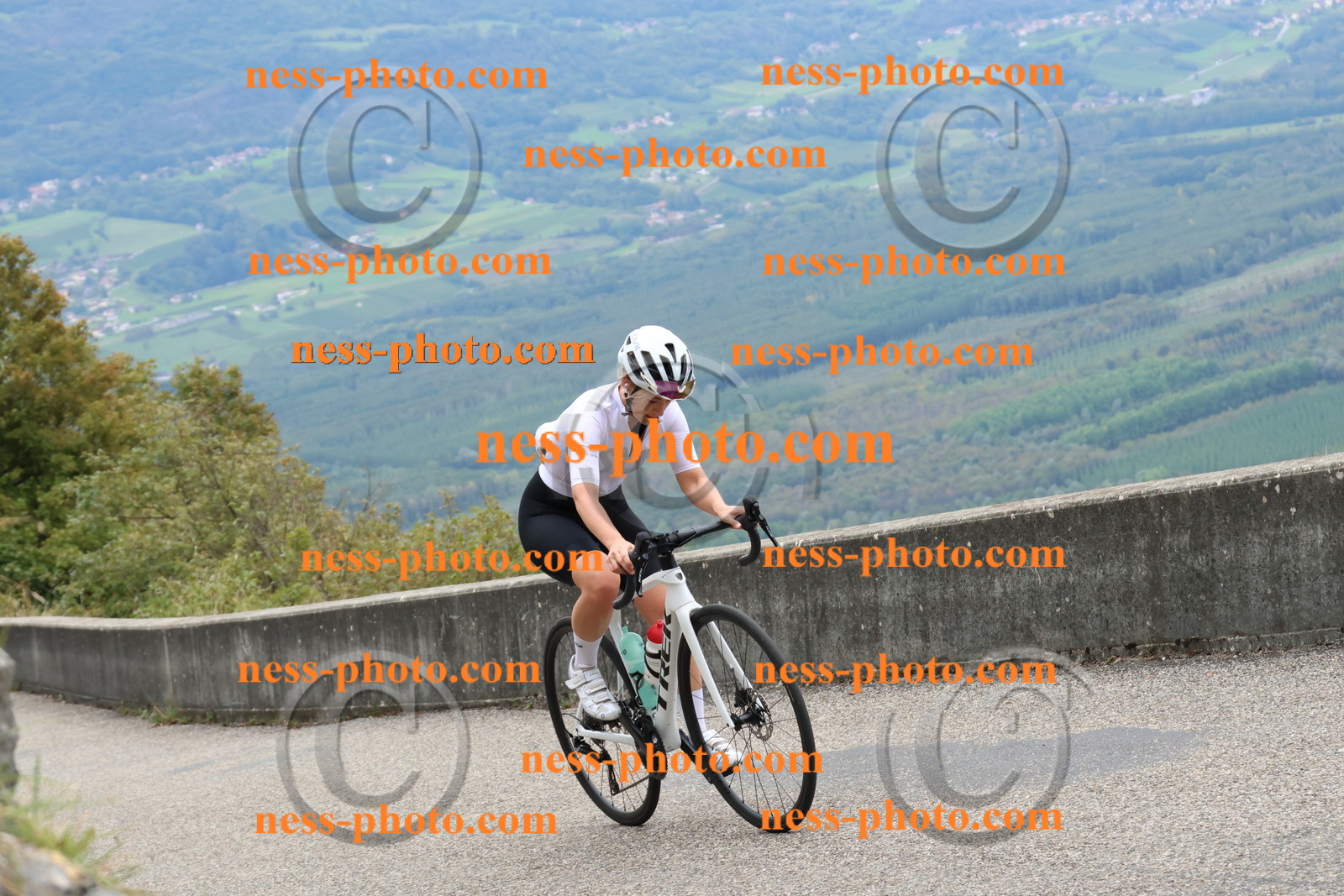 Col du Grand Colombier (2792).JPG