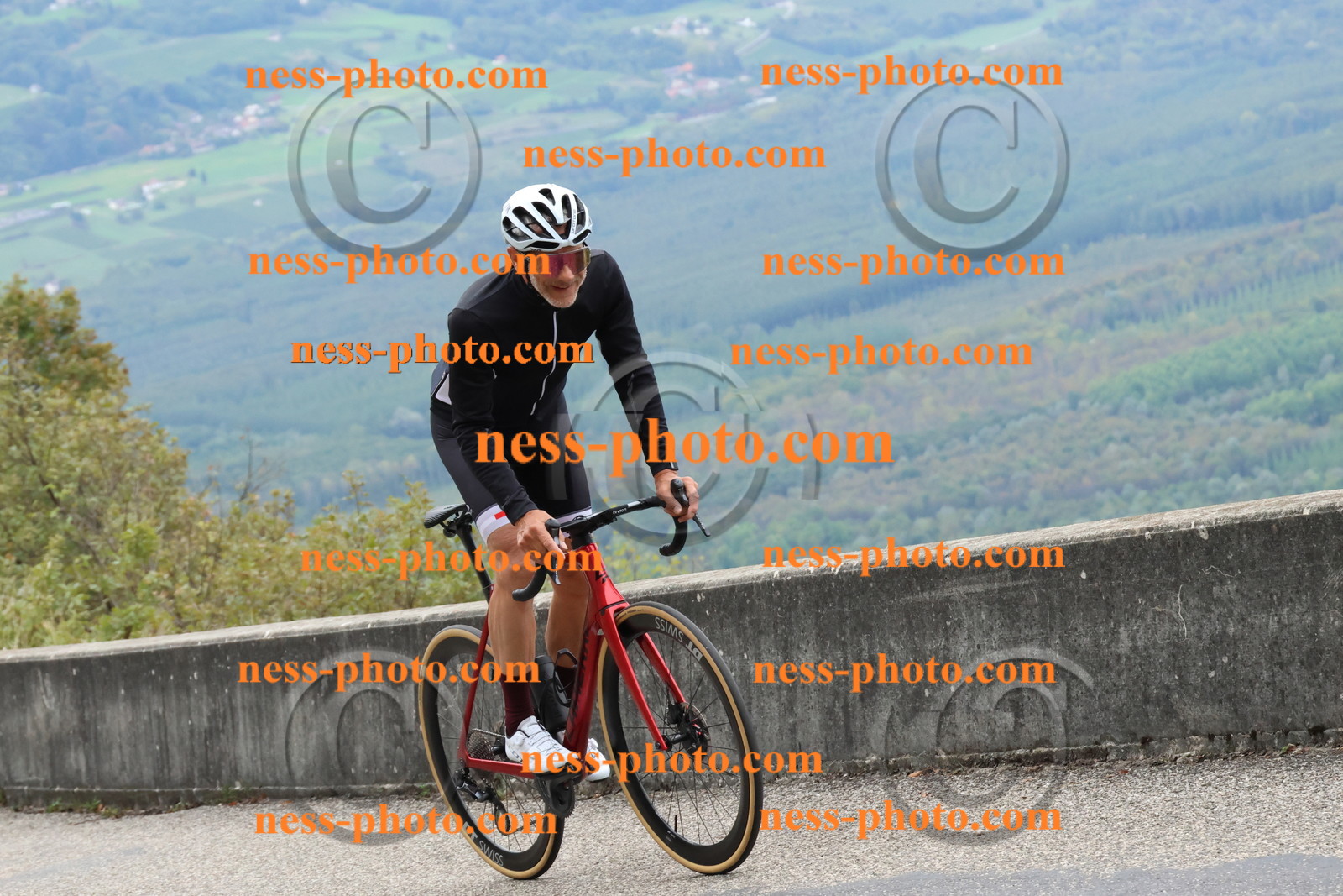 Col du Grand Colombier (815).JPG