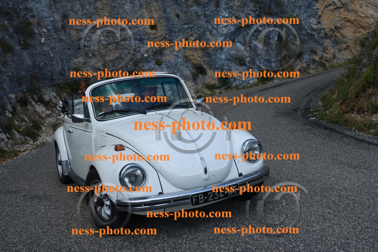 Col du Grand Colombier (35).JPG