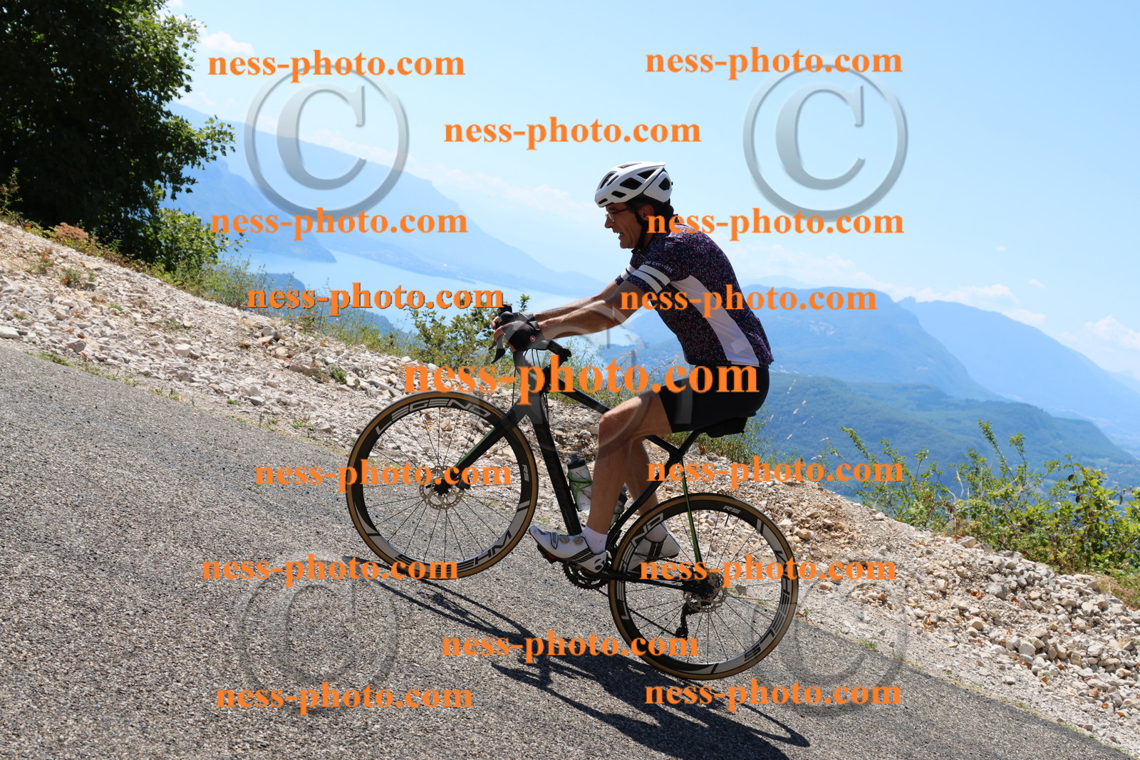 Col du Grand Colombier (2486).JPG