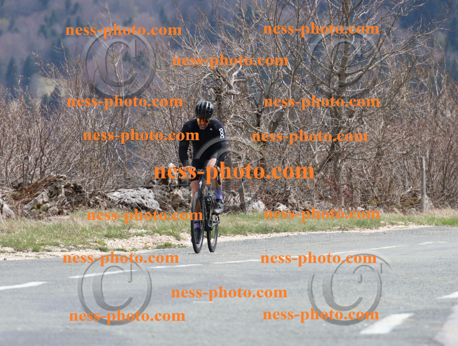 Col du Grand Colombier (392).JPG