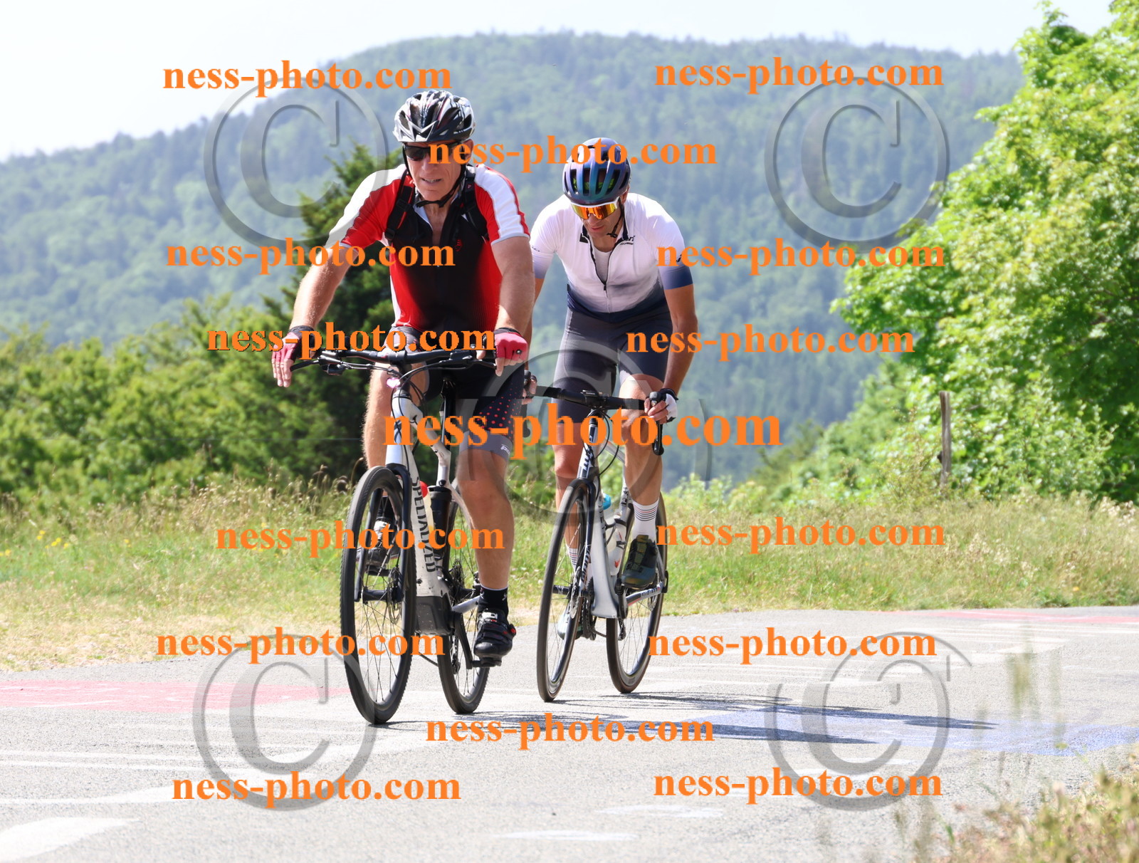 Col du grand Colombier (1353).JPG