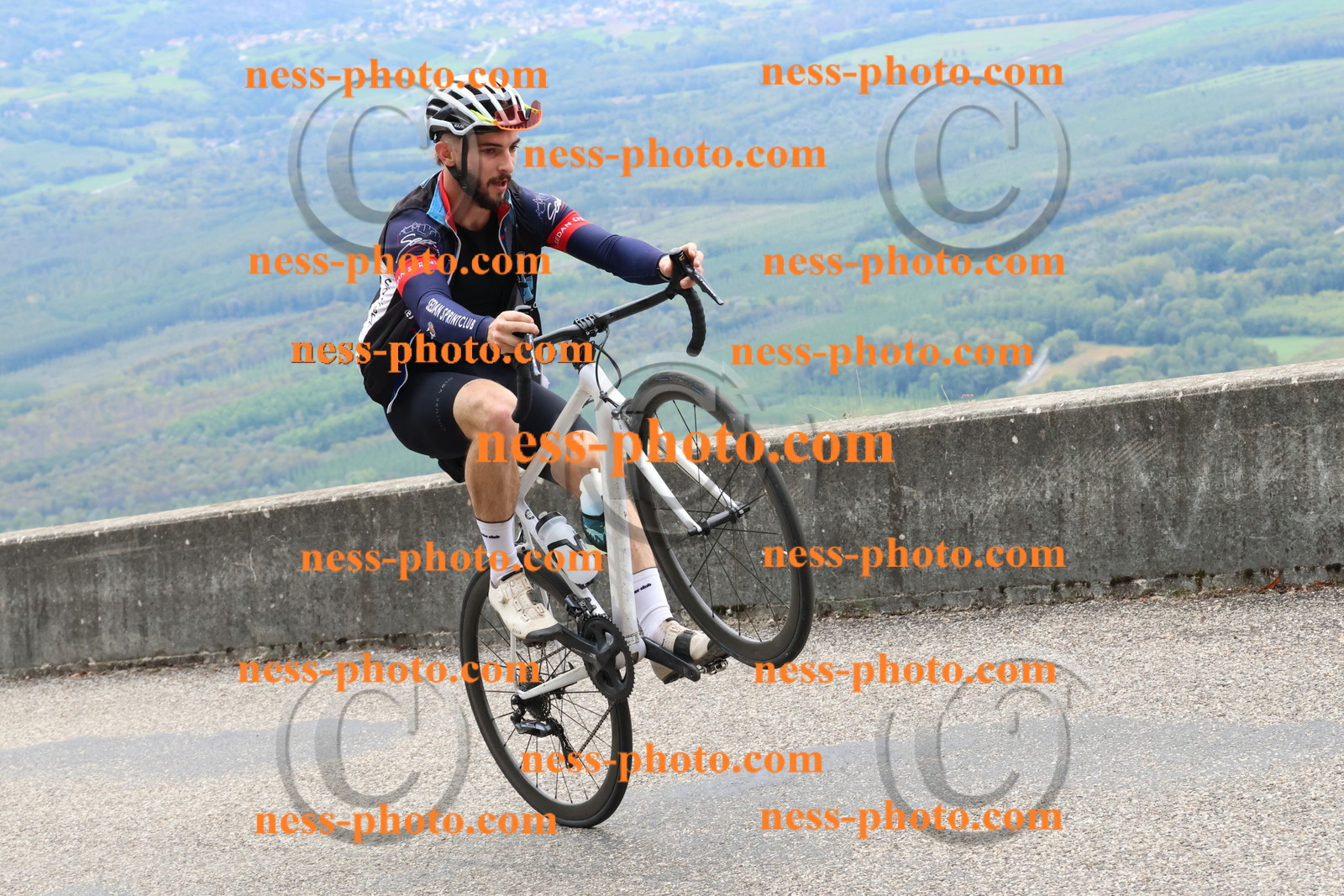 Col du Grand Colombier (2681).JPG