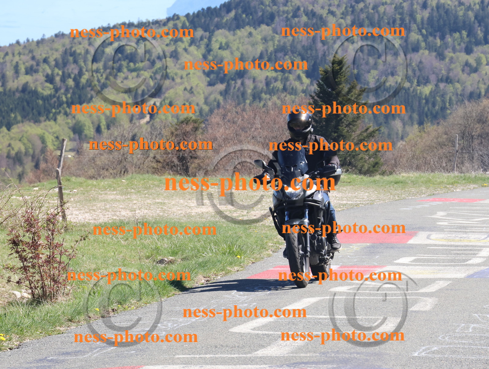 Col du Grand Colombier (259).JPG