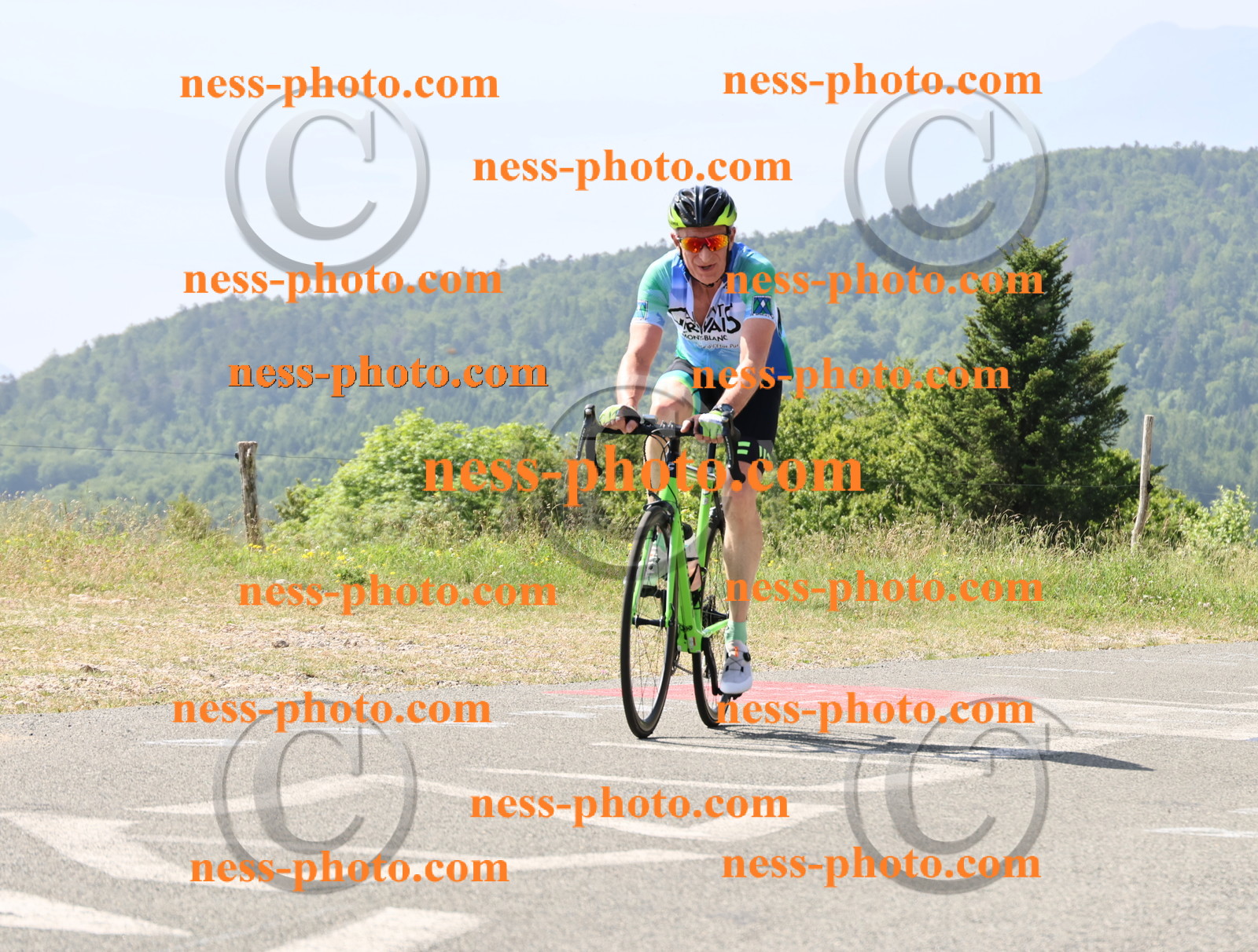 Col du grand Colombier (905).JPG