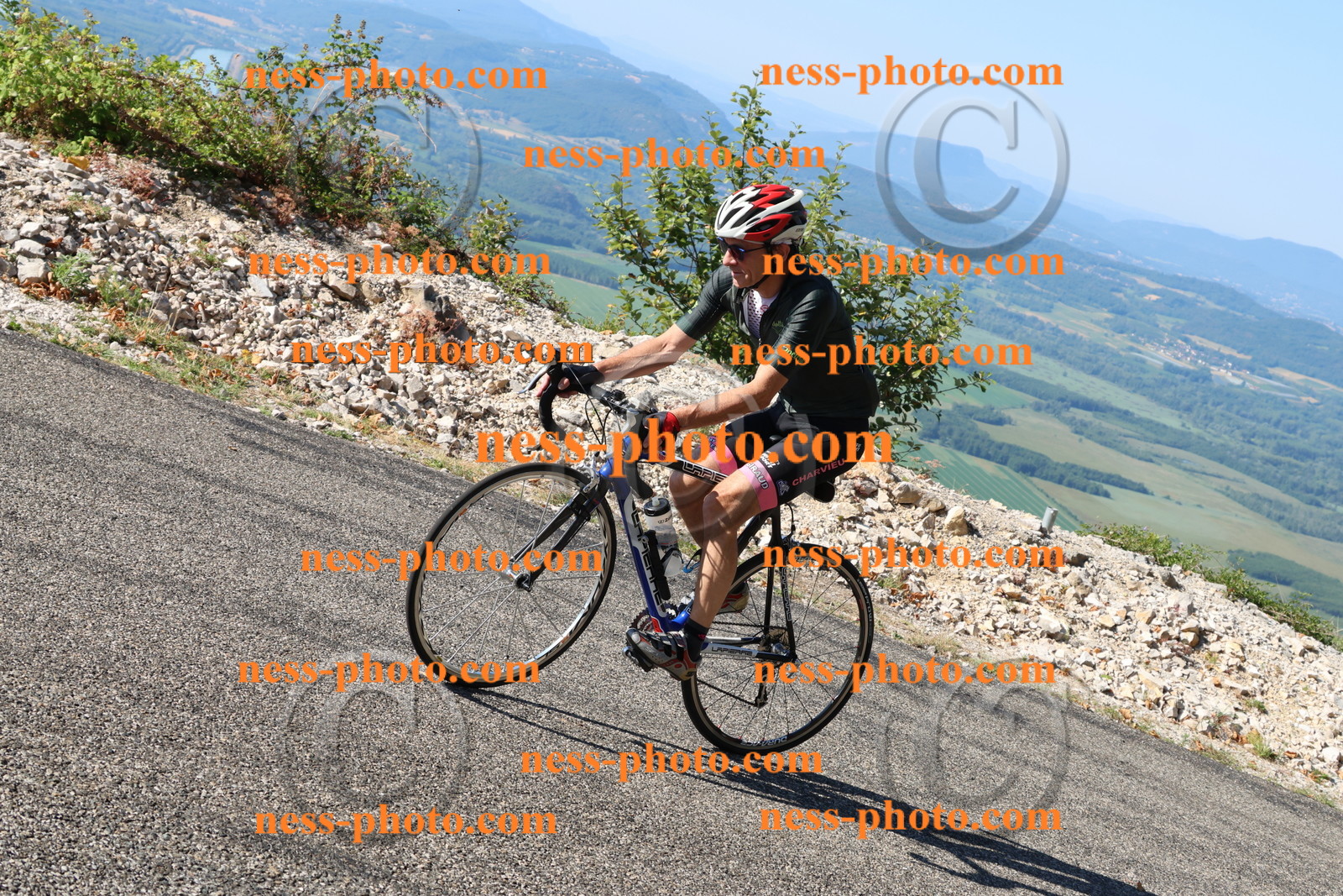 Col du Grand Colombier (1236).JPG