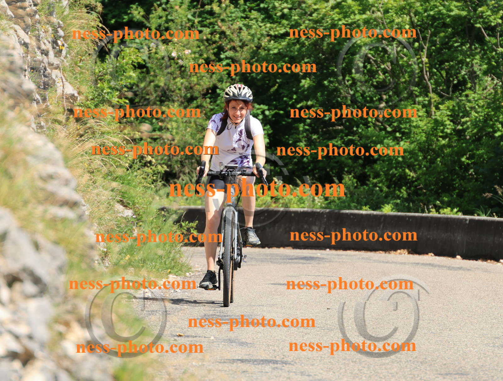 Col du Grand Colombier (717).JPG