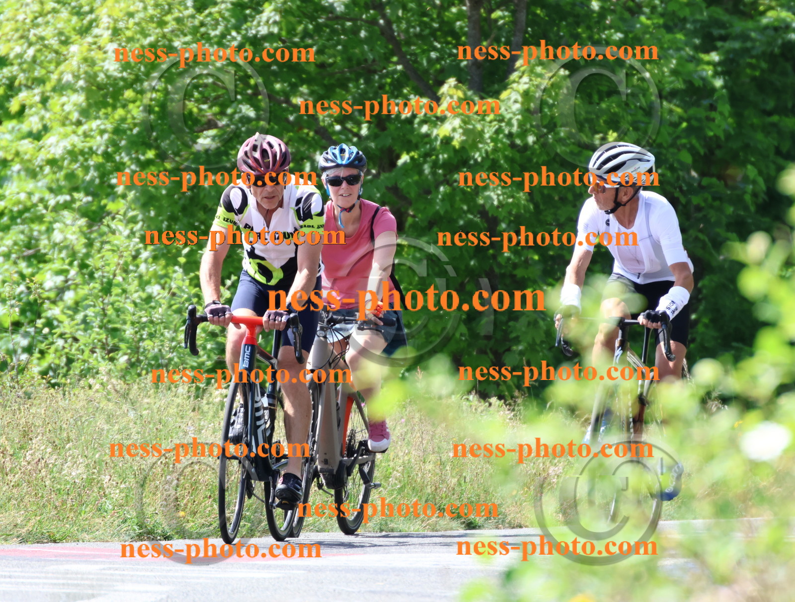 Col du grand Colombier (1298).JPG