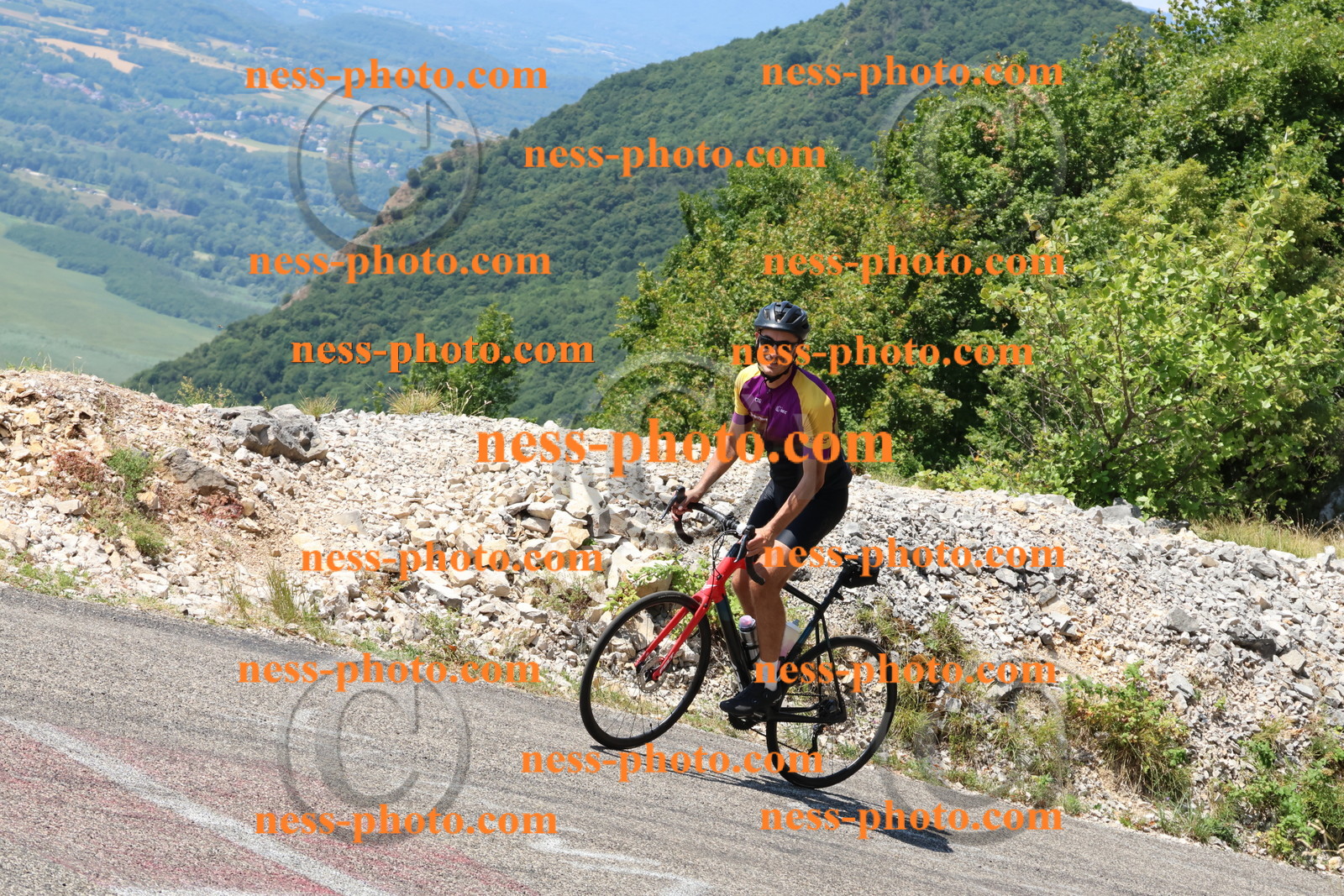 Col du Grand Colombier (376).JPG