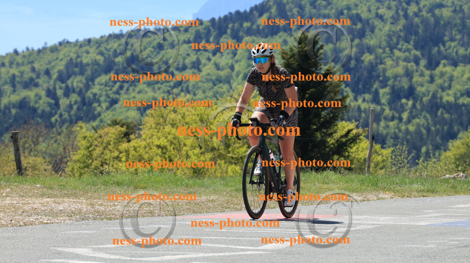 Col du grand Colombier (74).JPG