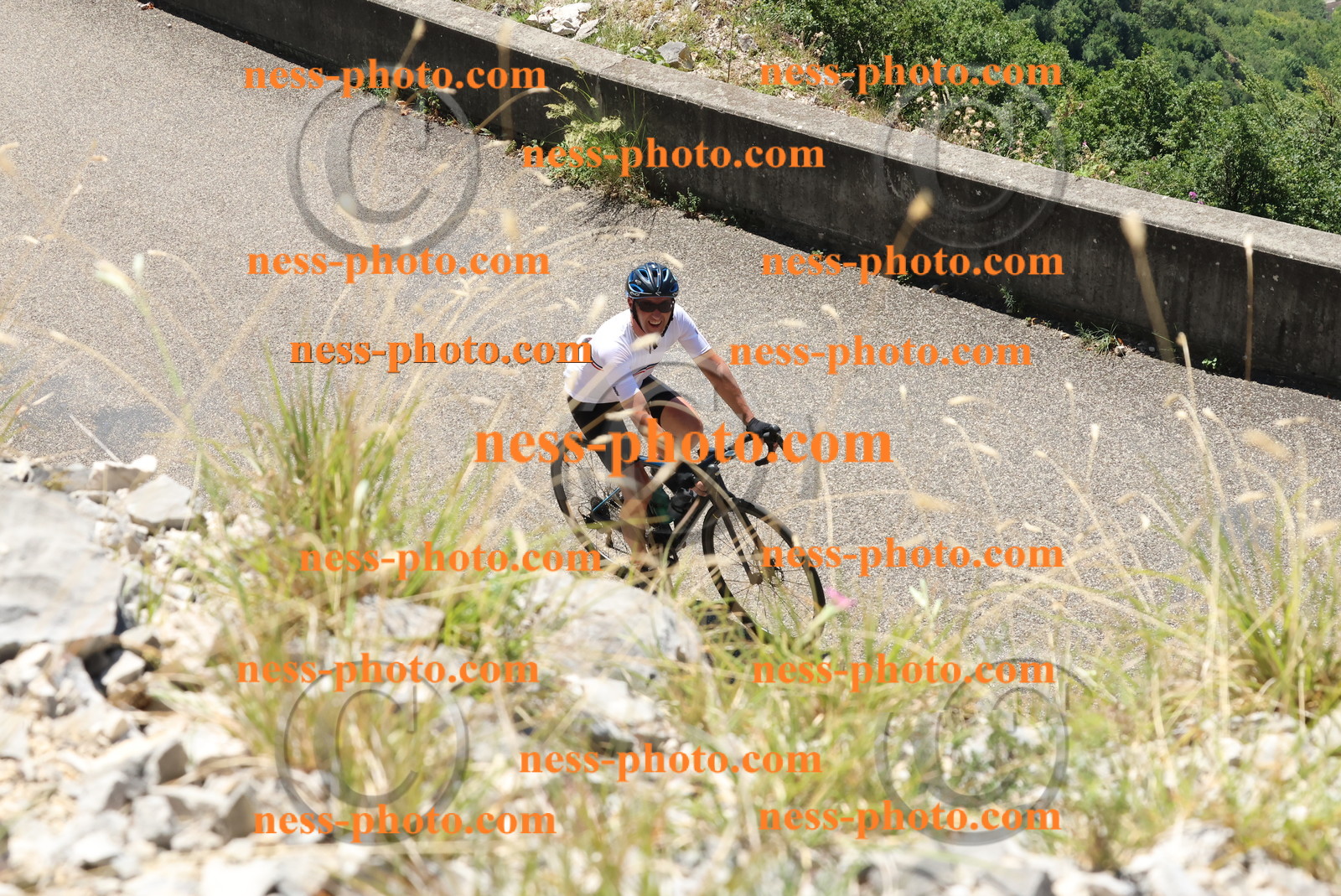 Col du Grand Colombier (548).JPG