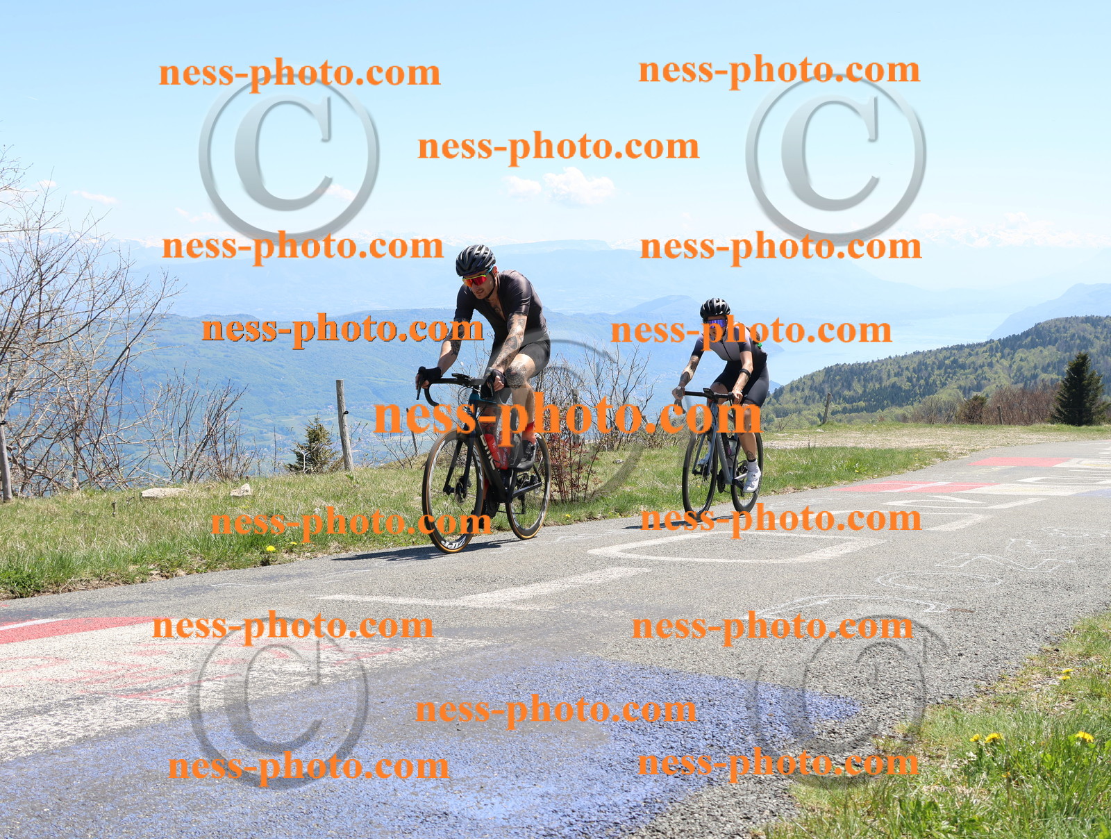 Col du Grand Colombier (760).JPG