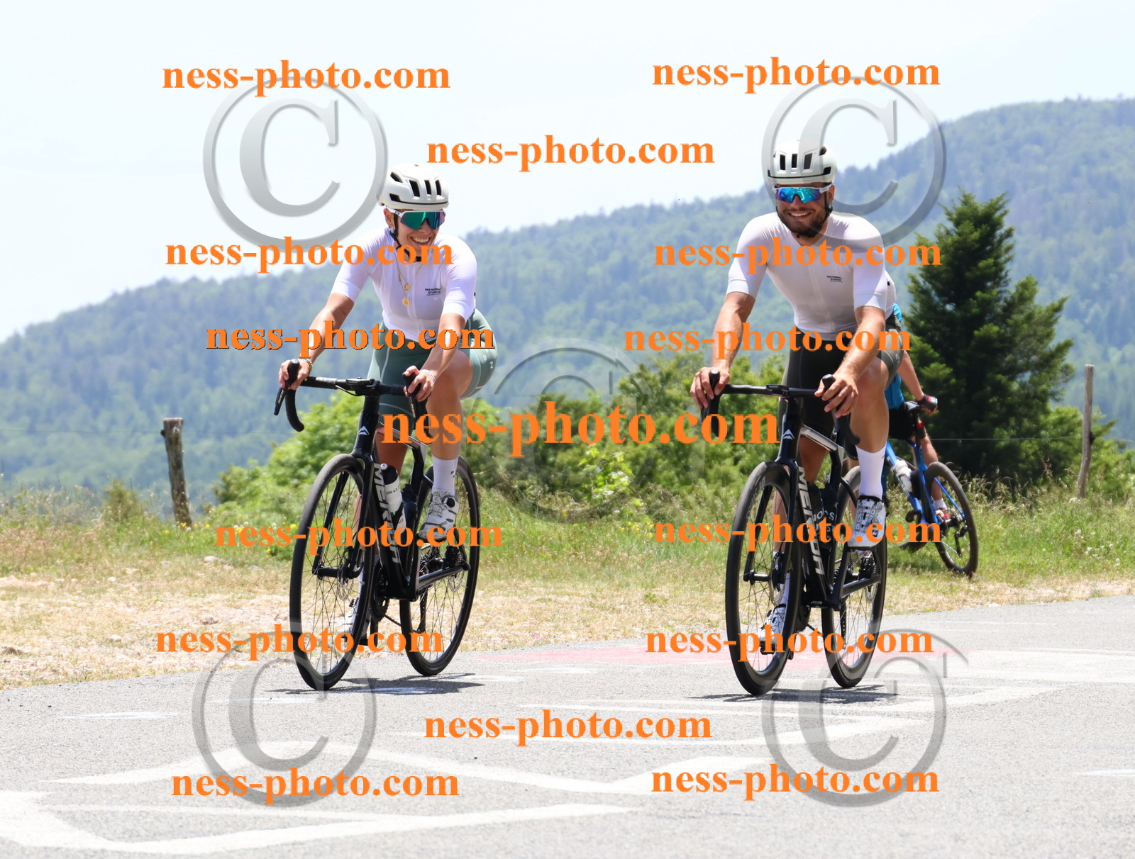 Col du grand Colombier (2937).JPG