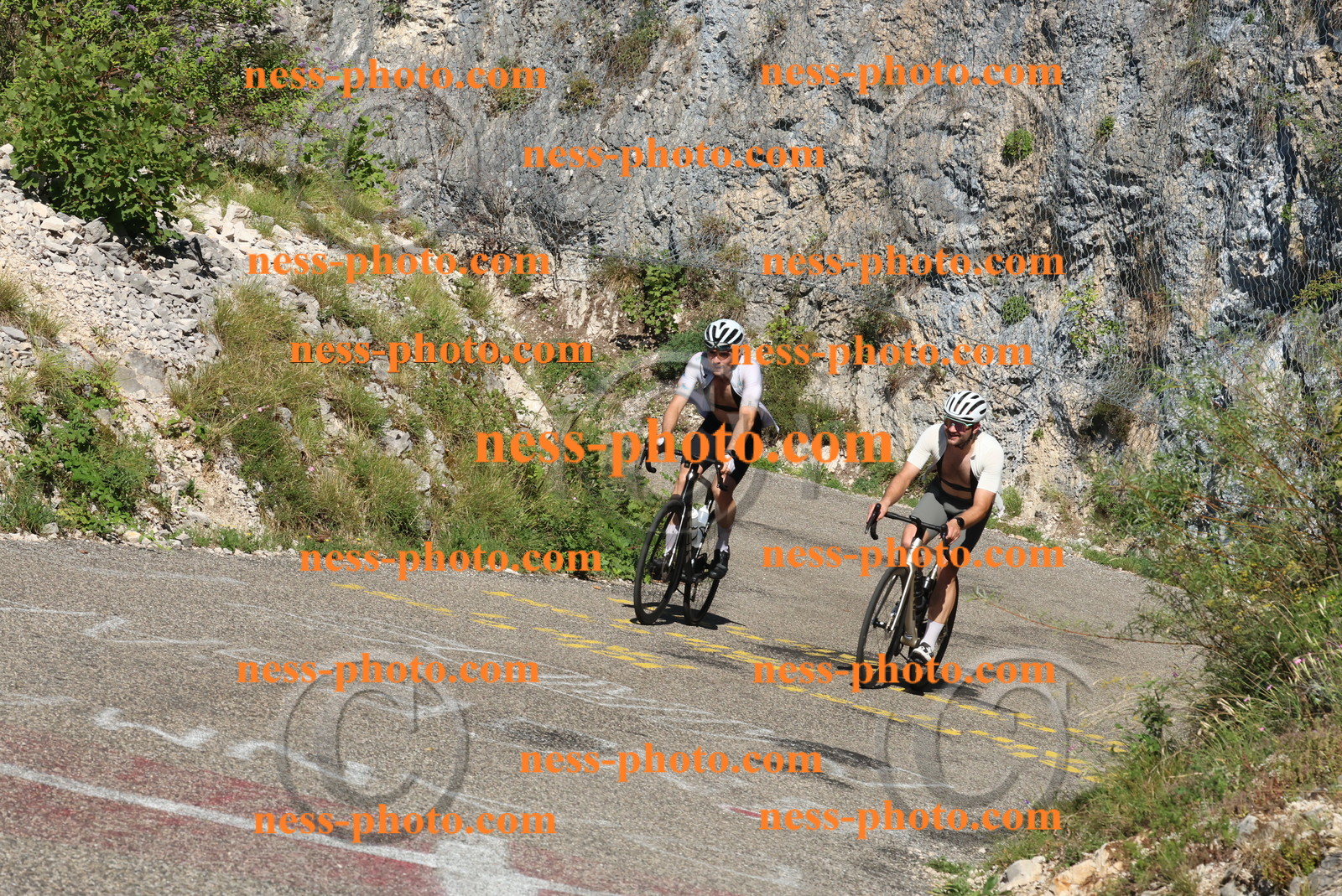 Col du Grand Colombier (305).JPG