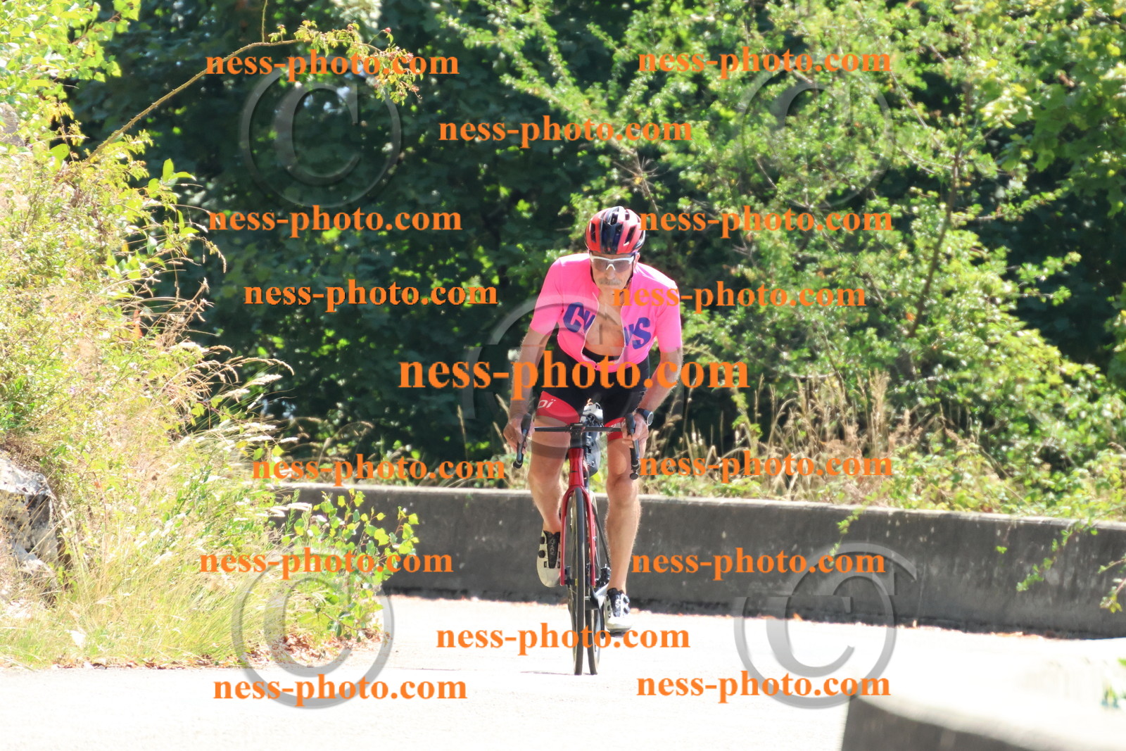 Col du Grand Colombier (341).JPG