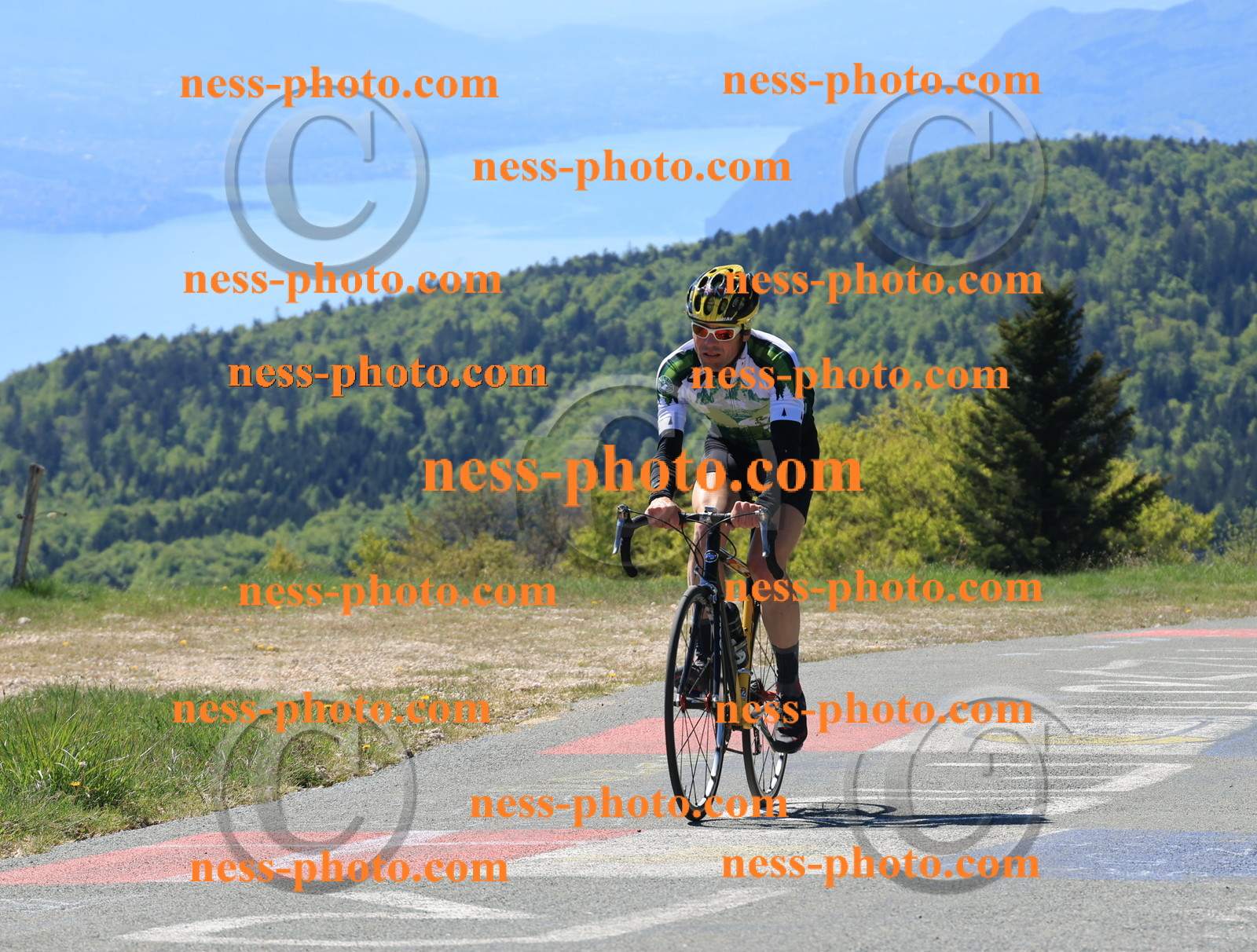 Col du grand Colombier (23).JPG