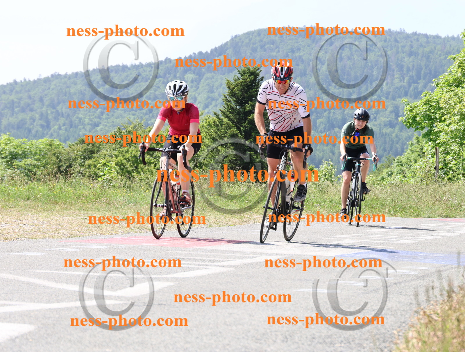 Col du grand Colombier (1451).JPG
