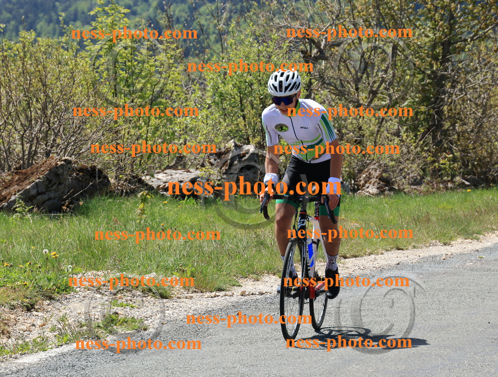 Col du Grand Colombier (2).JPG