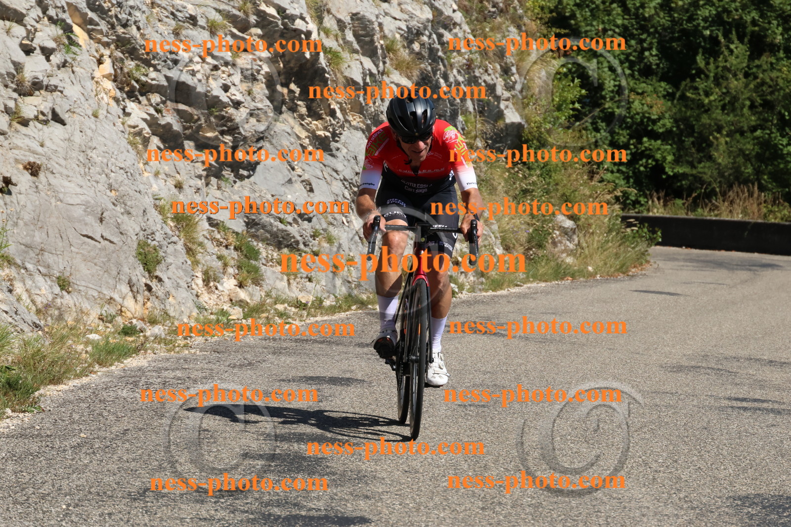 Col du Grand Colombier (662).JPG