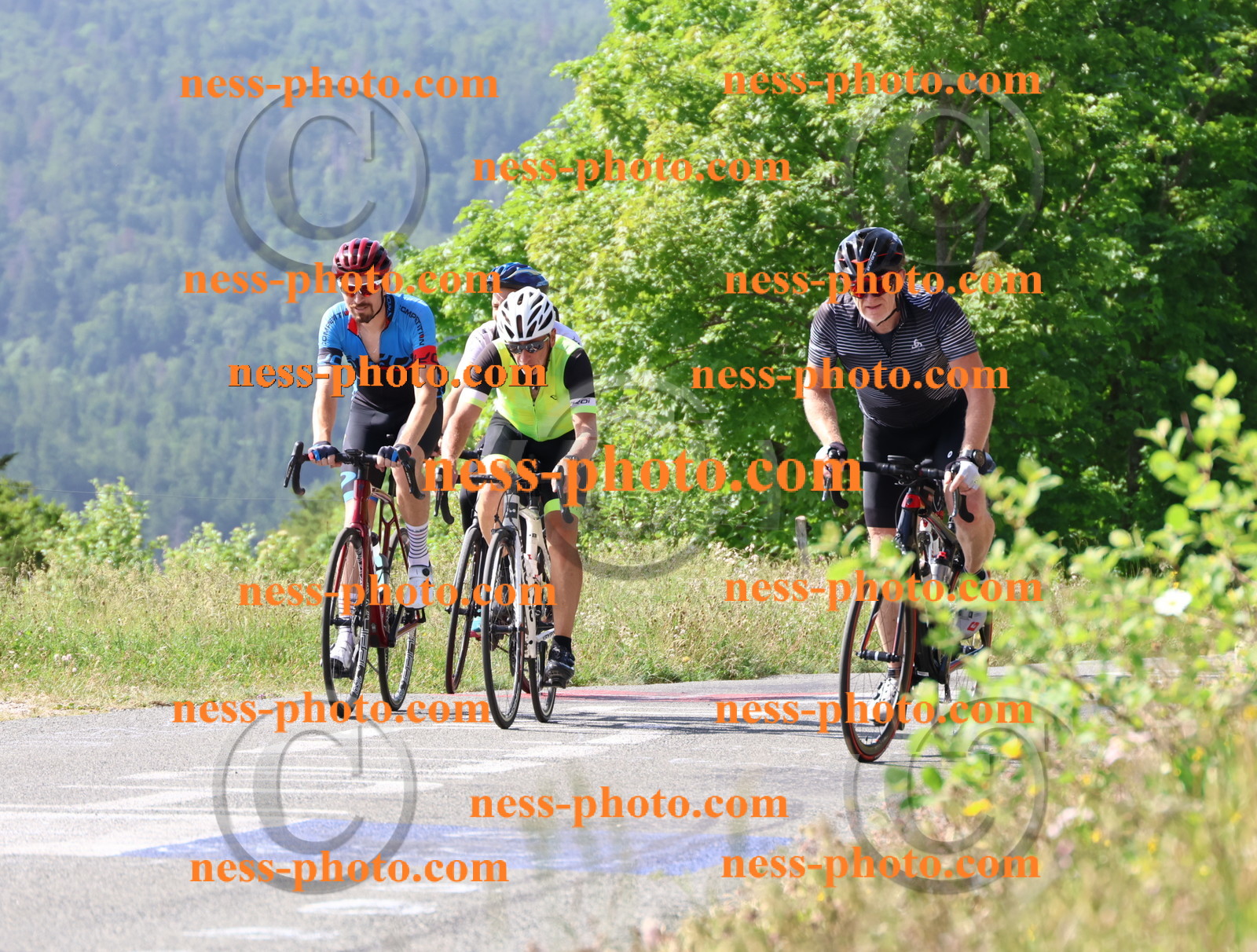 Col du grand Colombier (437).JPG