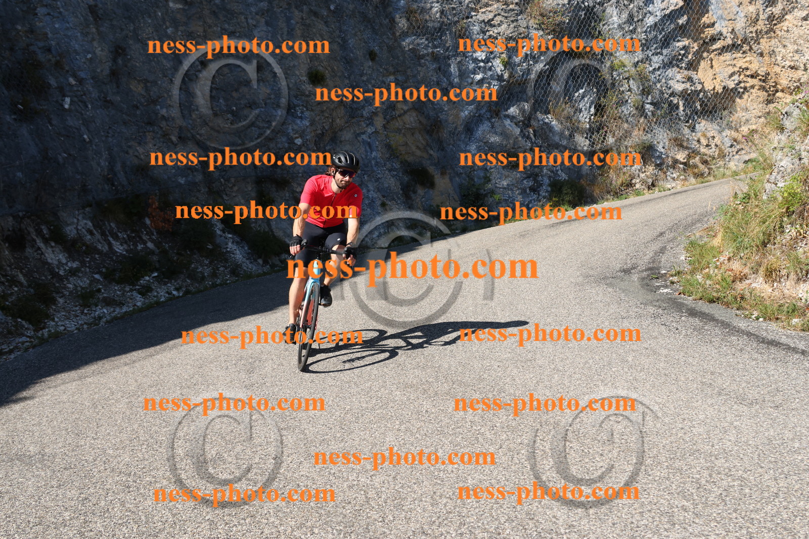 Col du Grand Colombier (497).JPG
