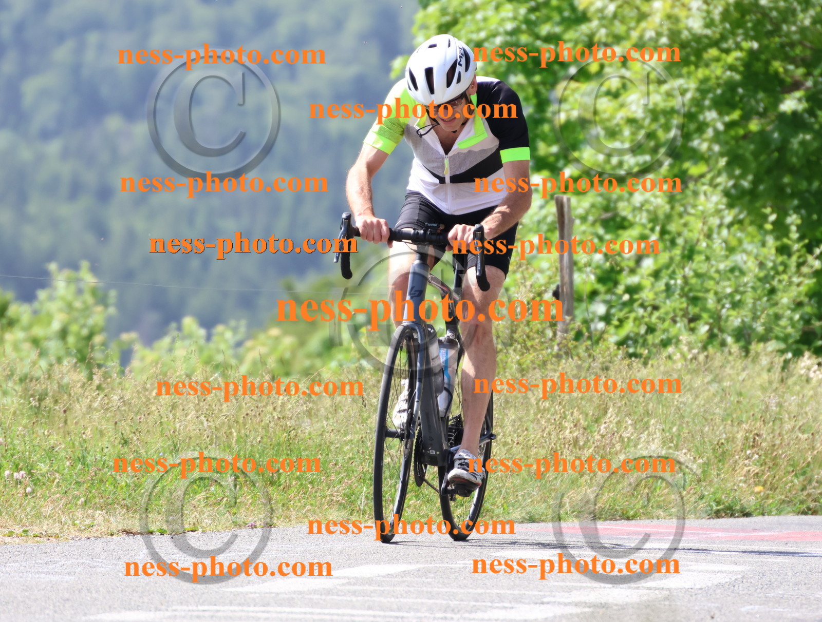 Col du grand Colombier (1213).JPG