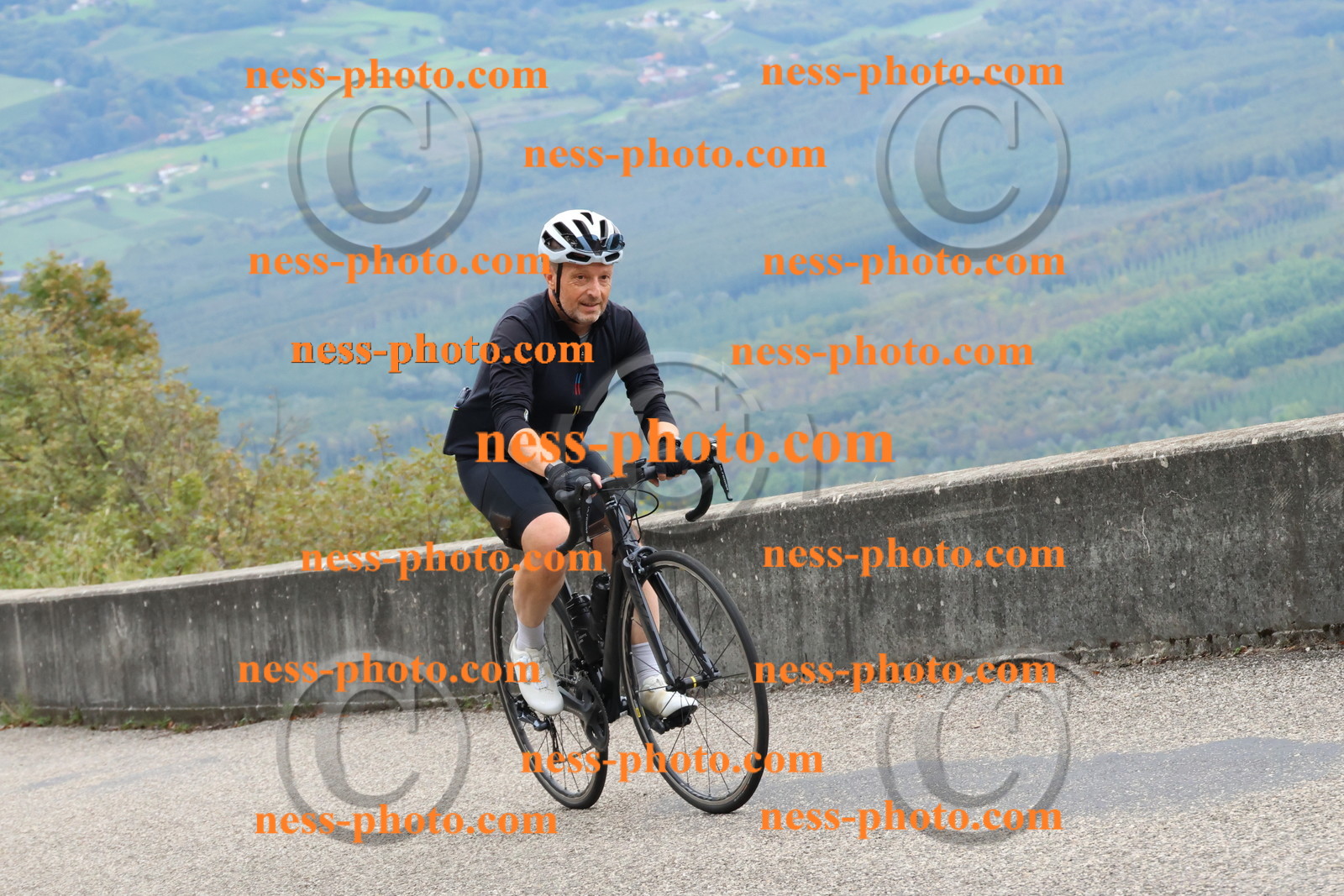 Col du Grand Colombier (1240).JPG