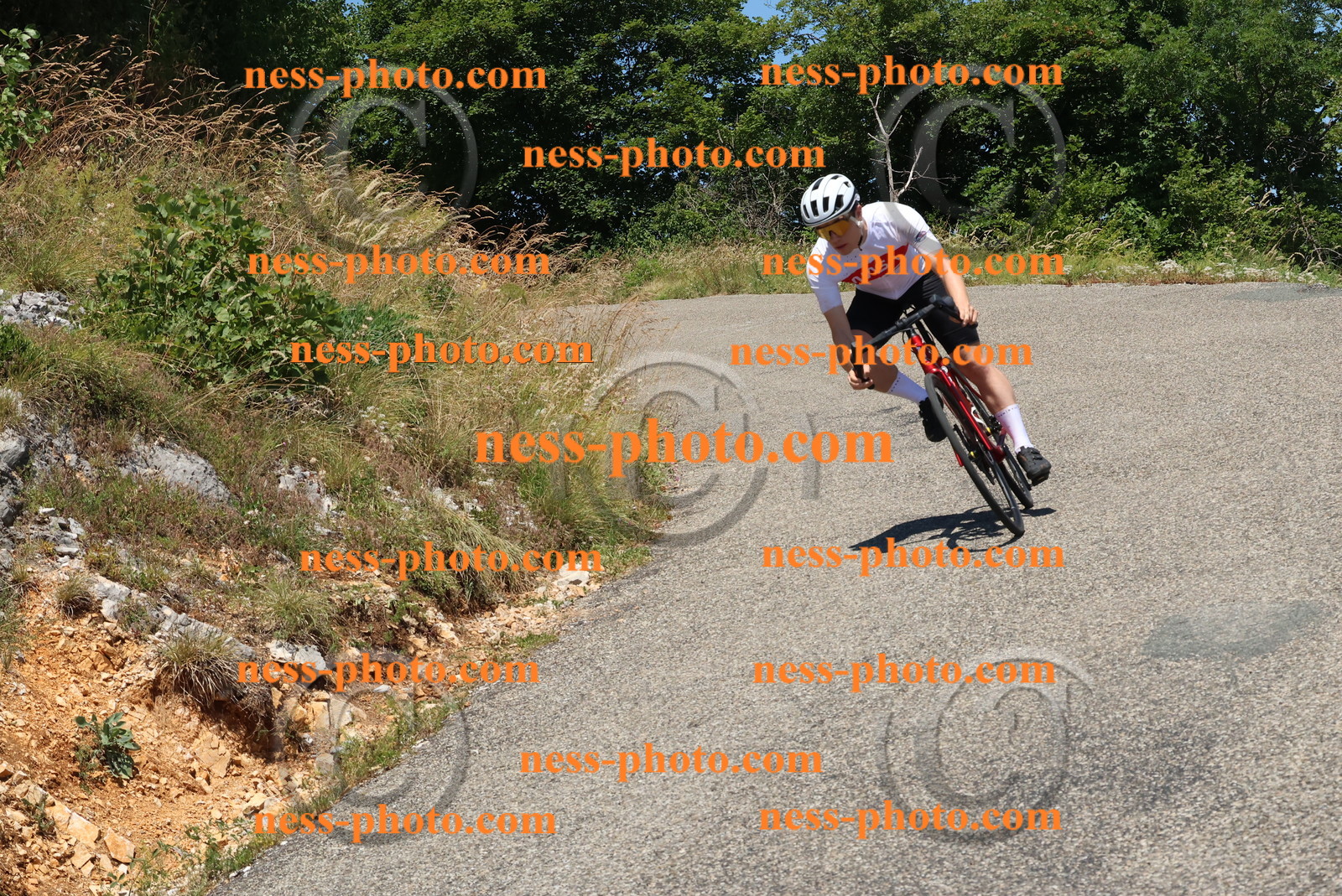 Col du Grand Colombier (563).JPG