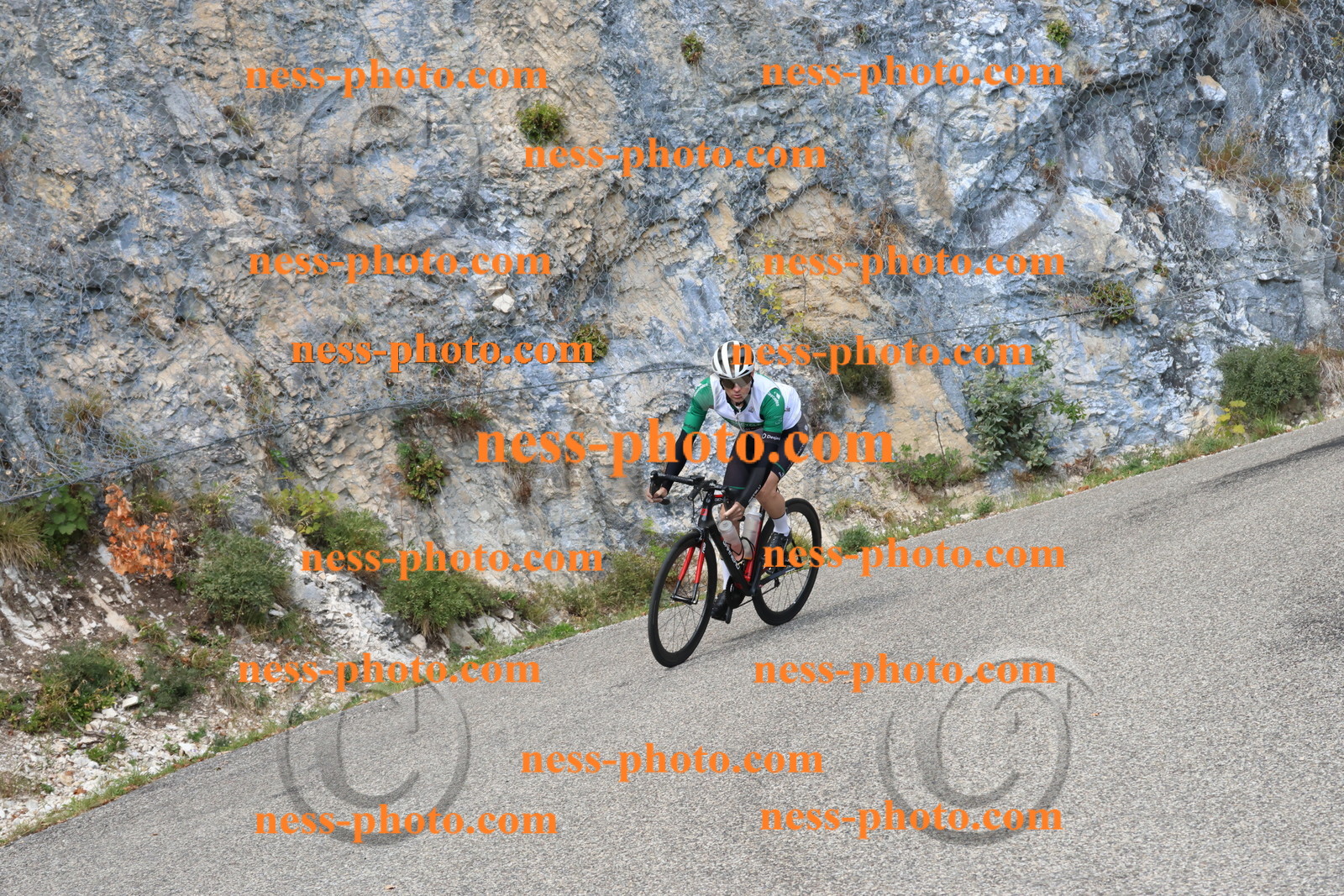 Col du Grand Colombier (723).JPG