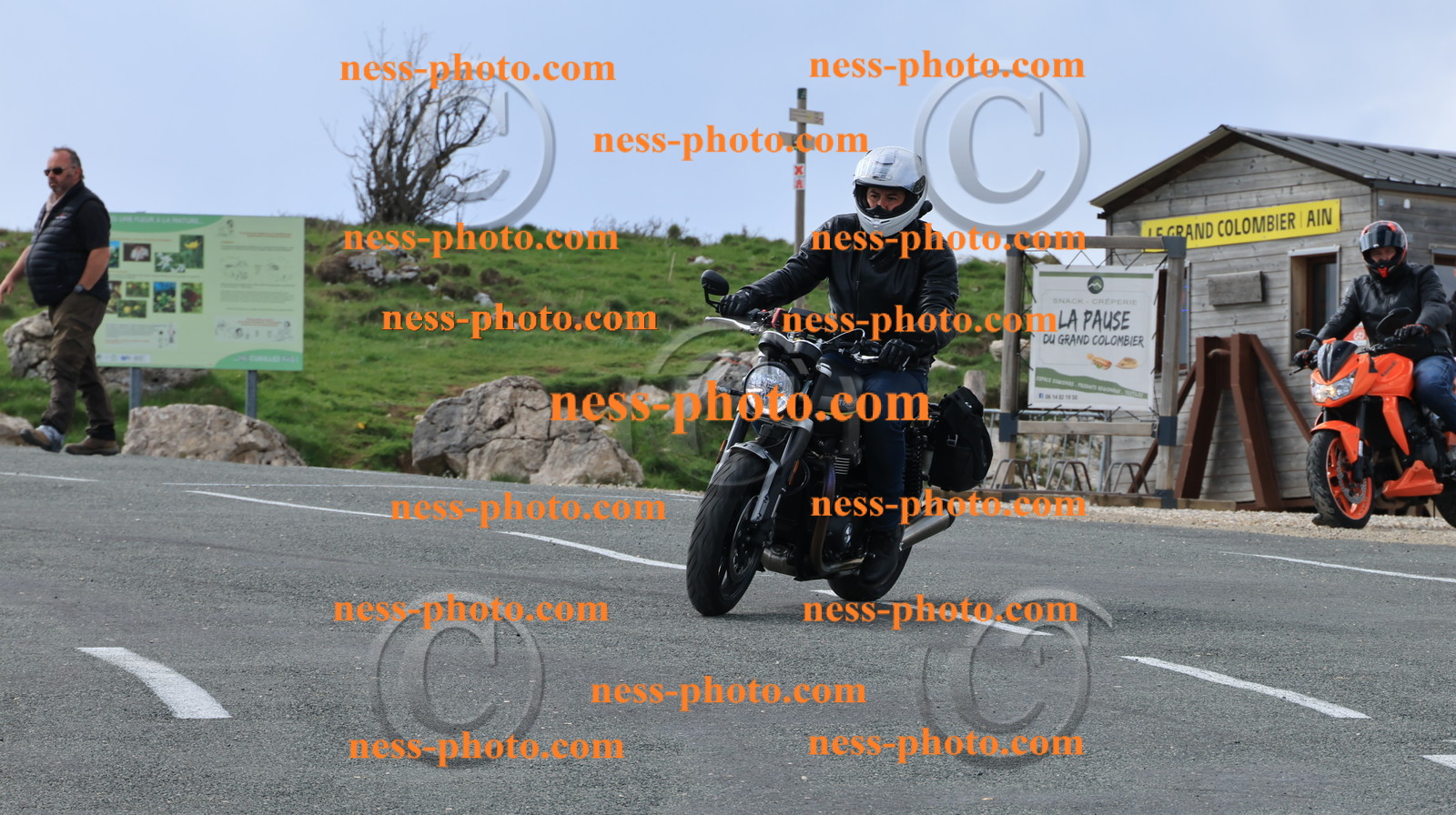 Col du Grand Colombier (265).JPG