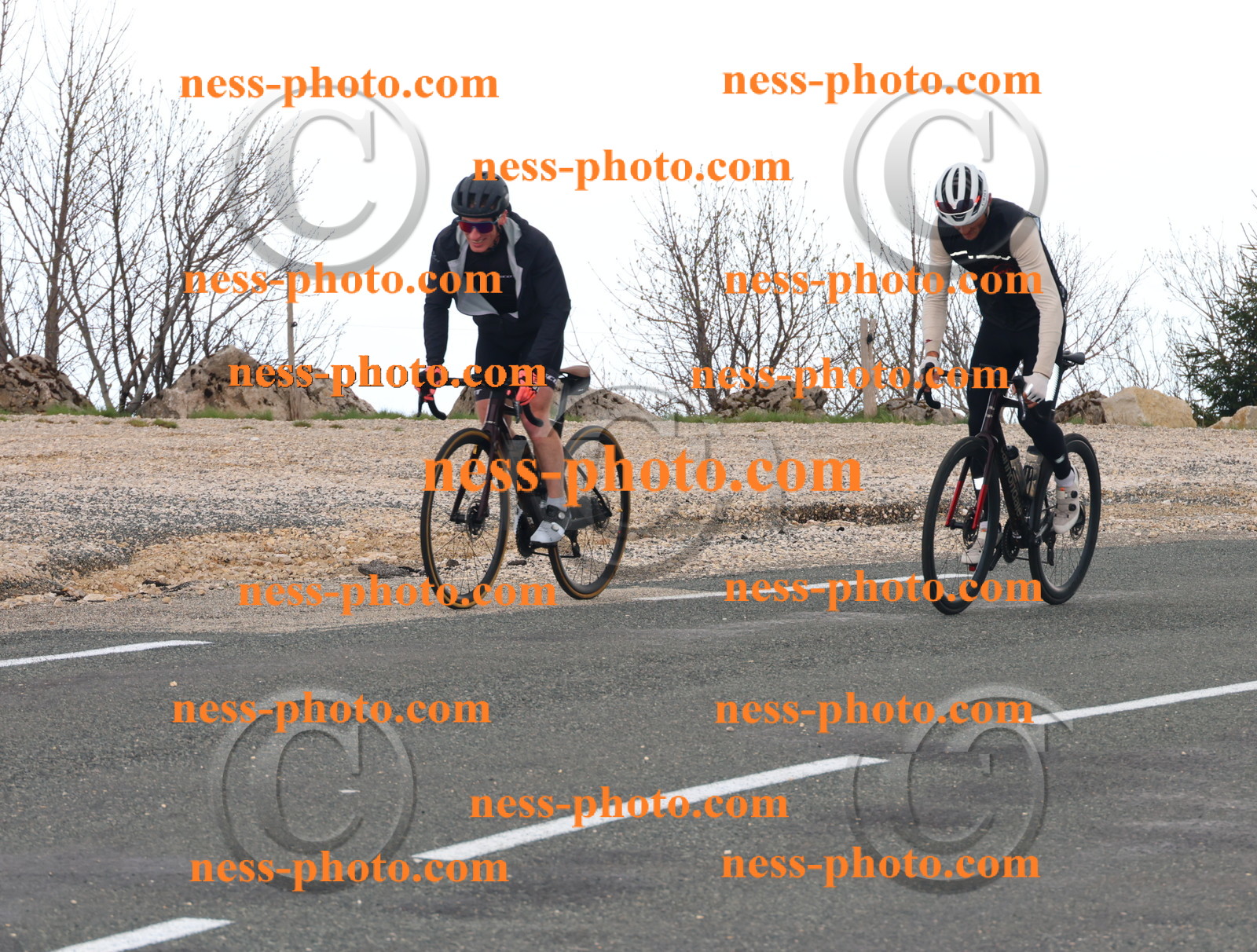 Col du Grand Colombier (221).JPG