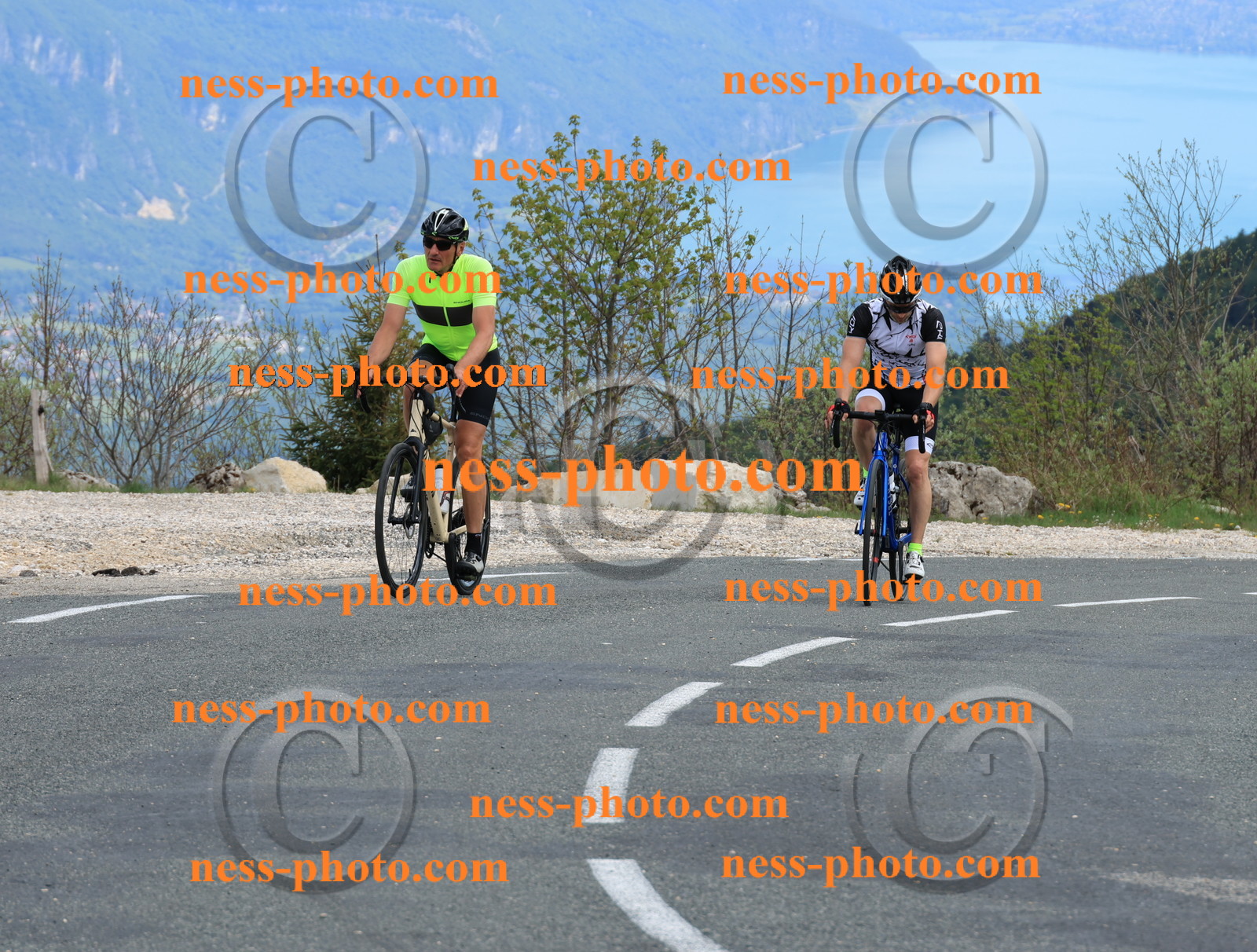 Col du grand Colombier (667).JPG