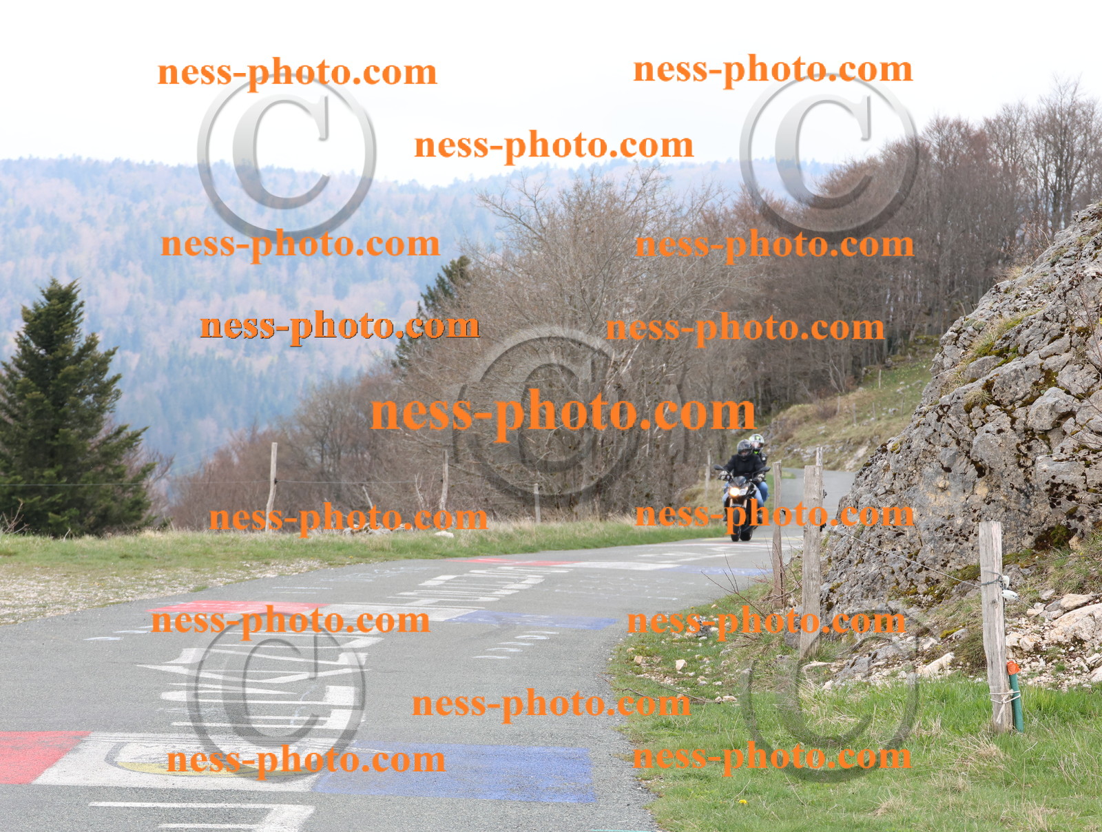 Col du Grand Colombier (85).JPG