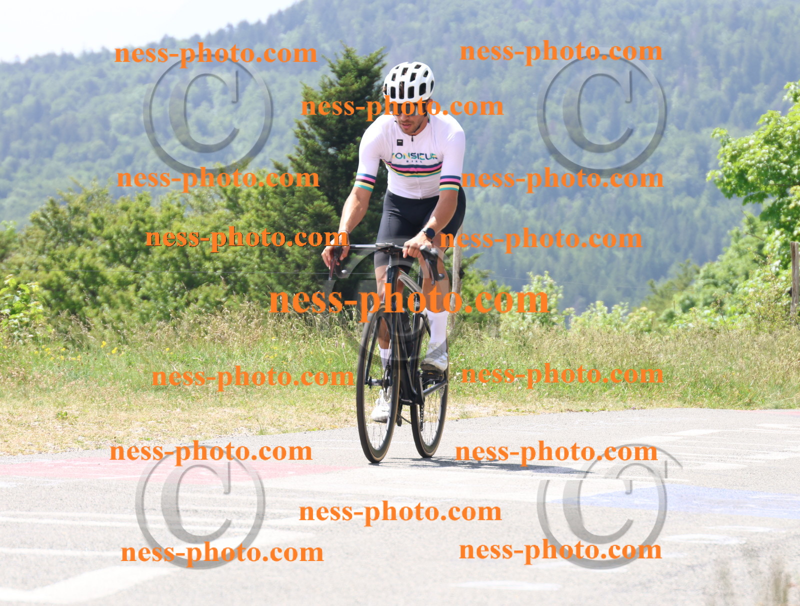 Col du grand Colombier (2117).JPG