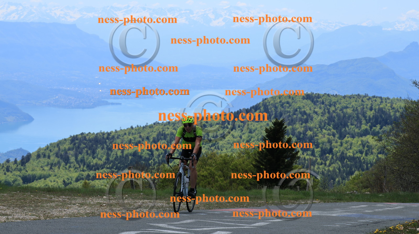 Col du grand Colombier (272).JPG