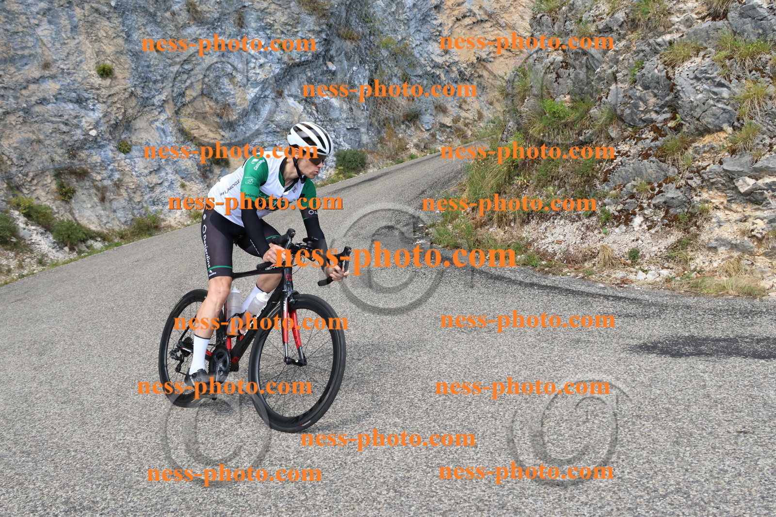 Col du Grand Colombier (726).JPG