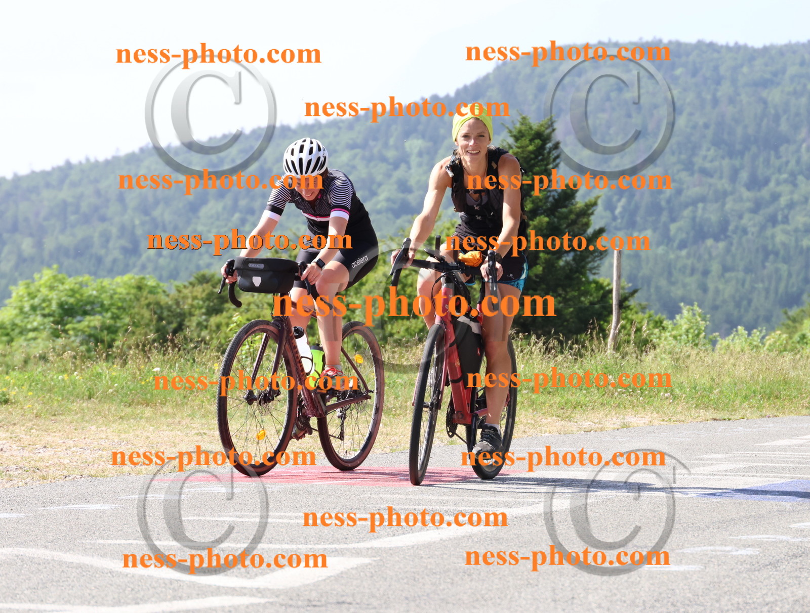 Col du grand Colombier (470).JPG