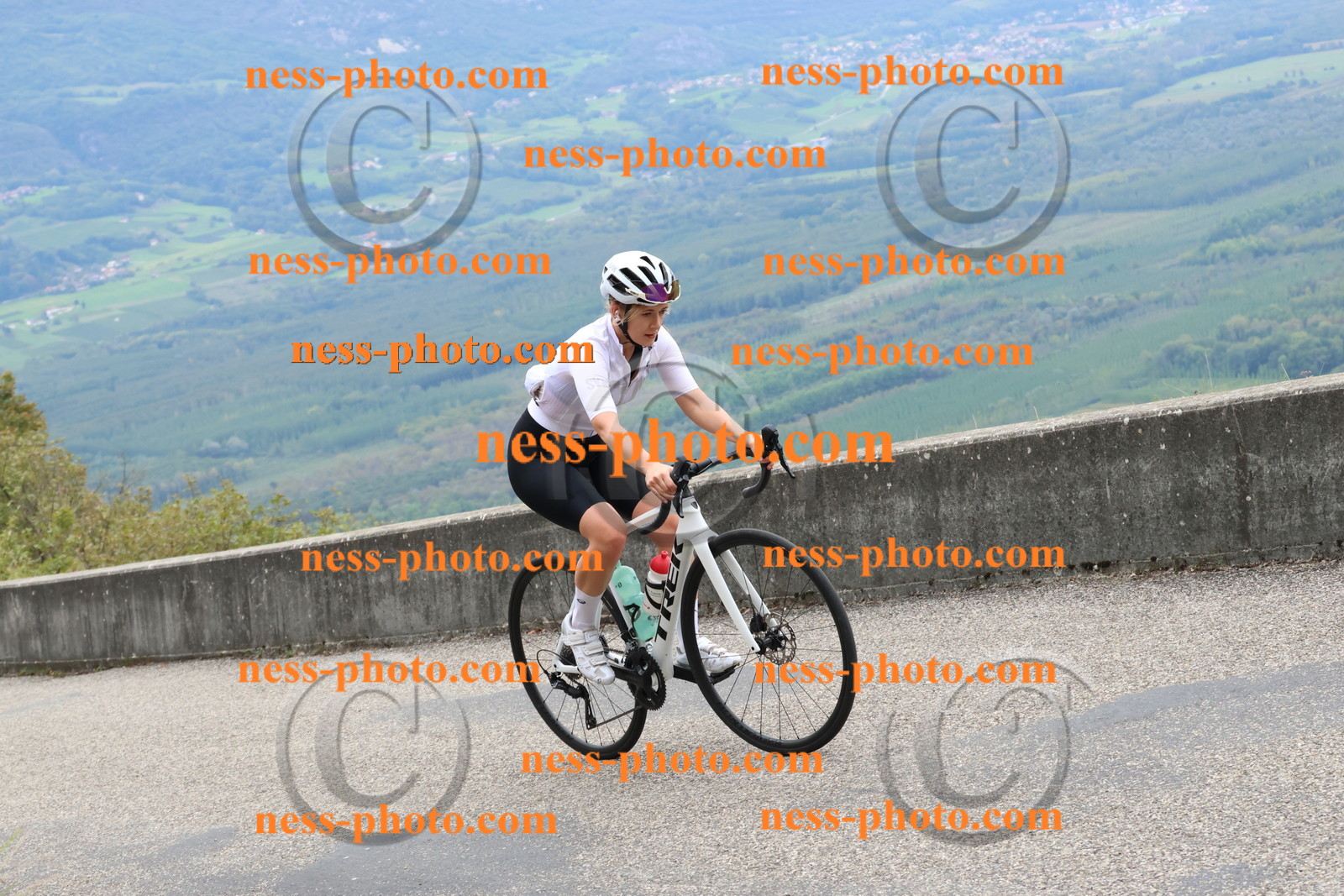 Col du Grand Colombier (2793).JPG