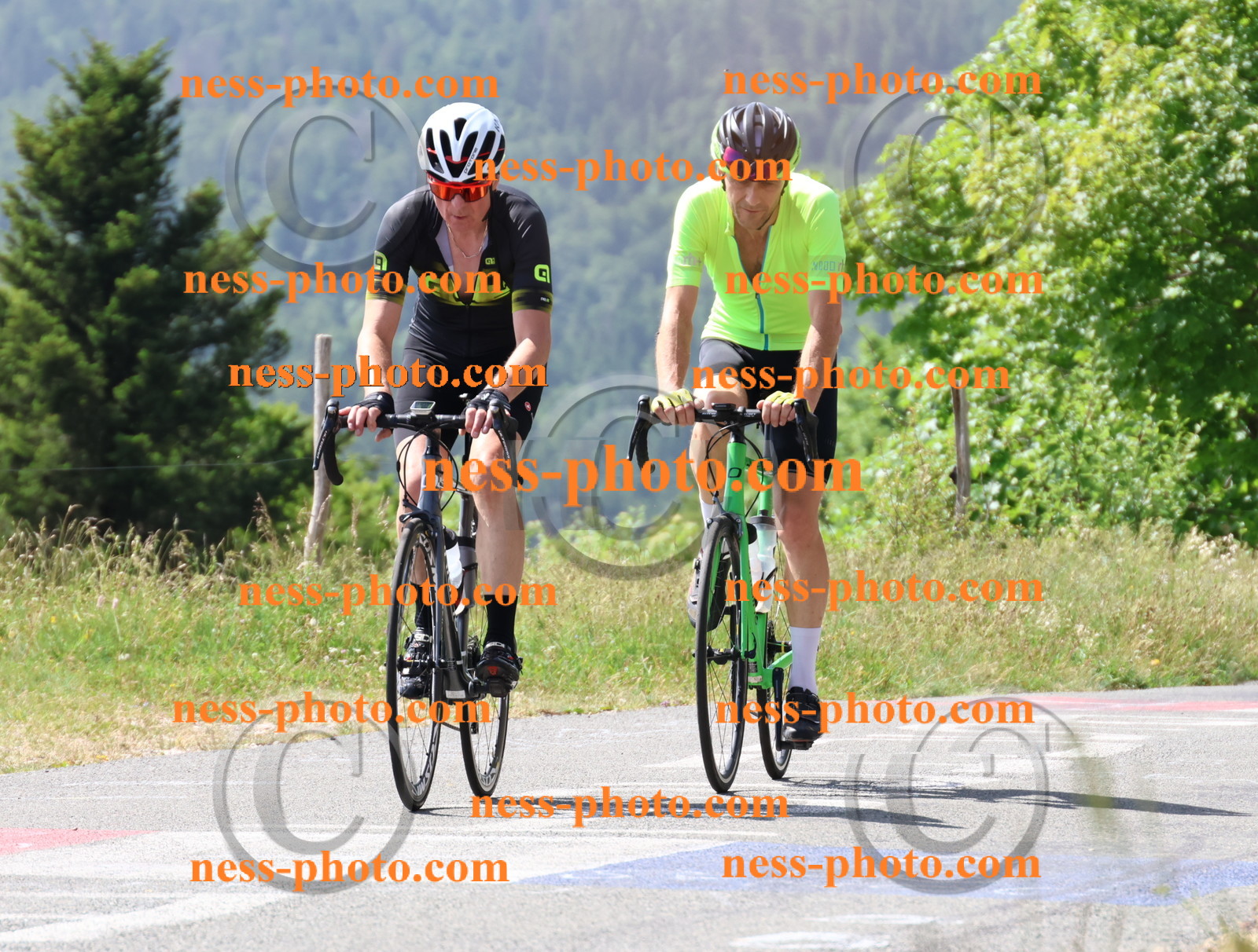 Col du grand Colombier (1385).JPG