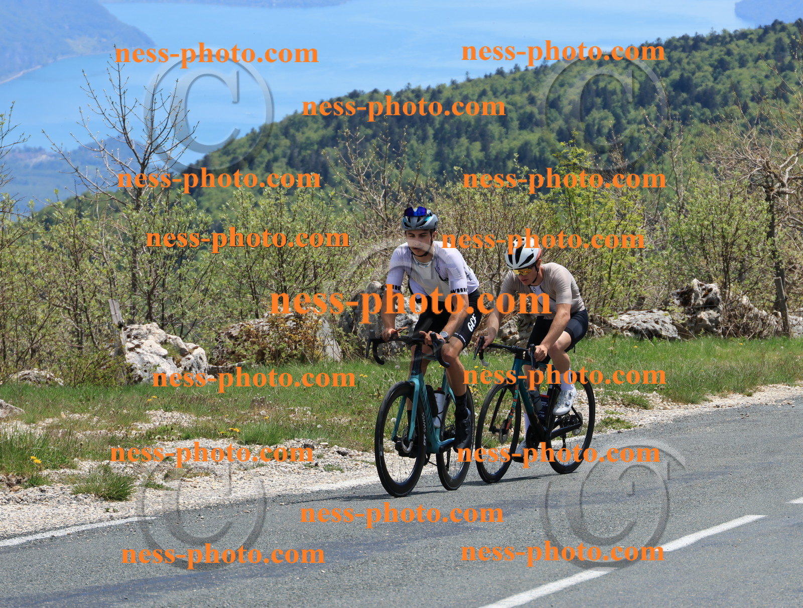 Col du Grand Colombier (541).JPG