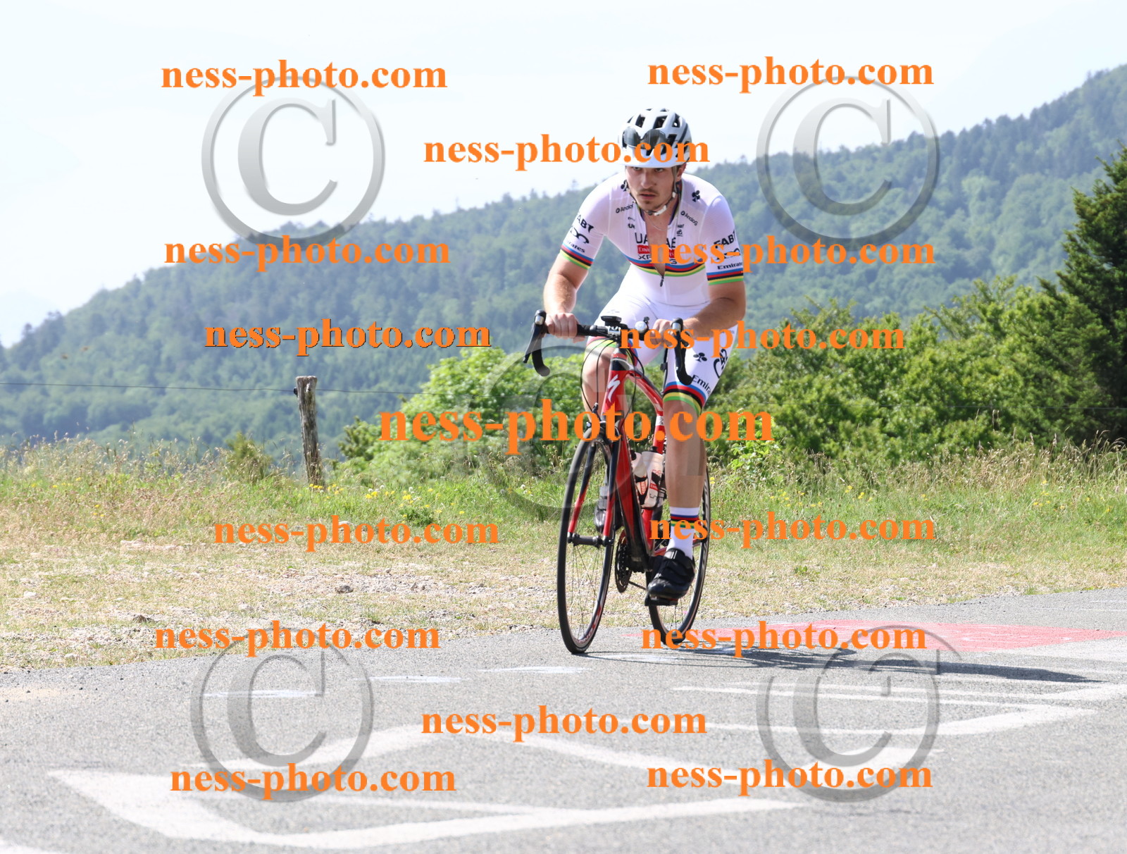 Col du grand Colombier (896).JPG