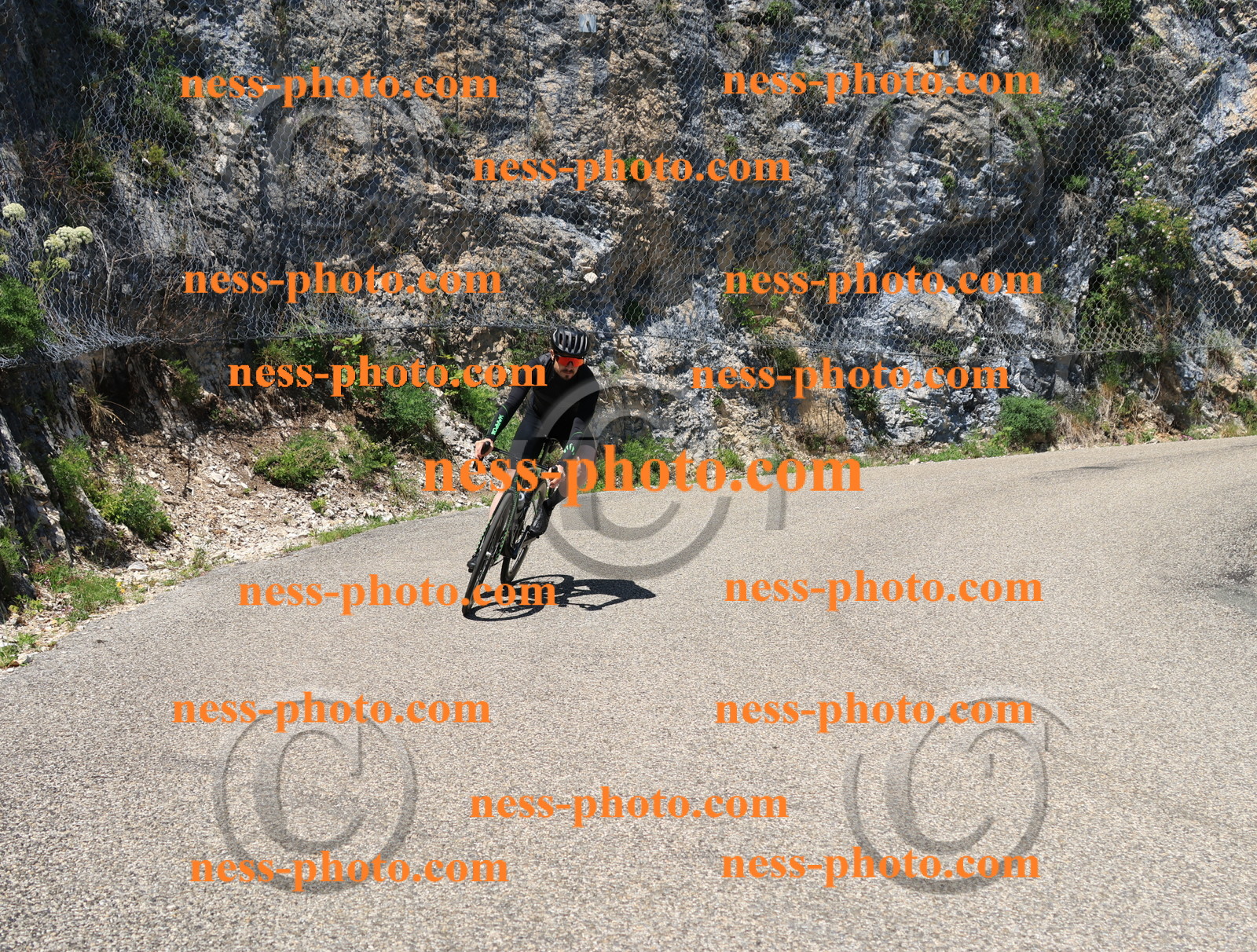 Col du Grand Colombier (666).JPG