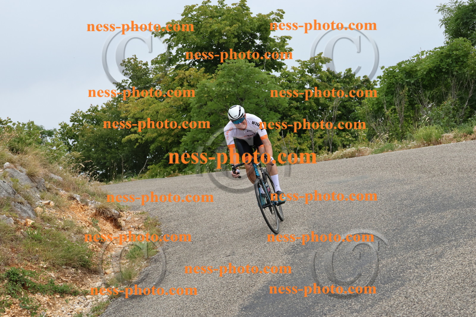 Col du Grand Colombier  (687).JPG