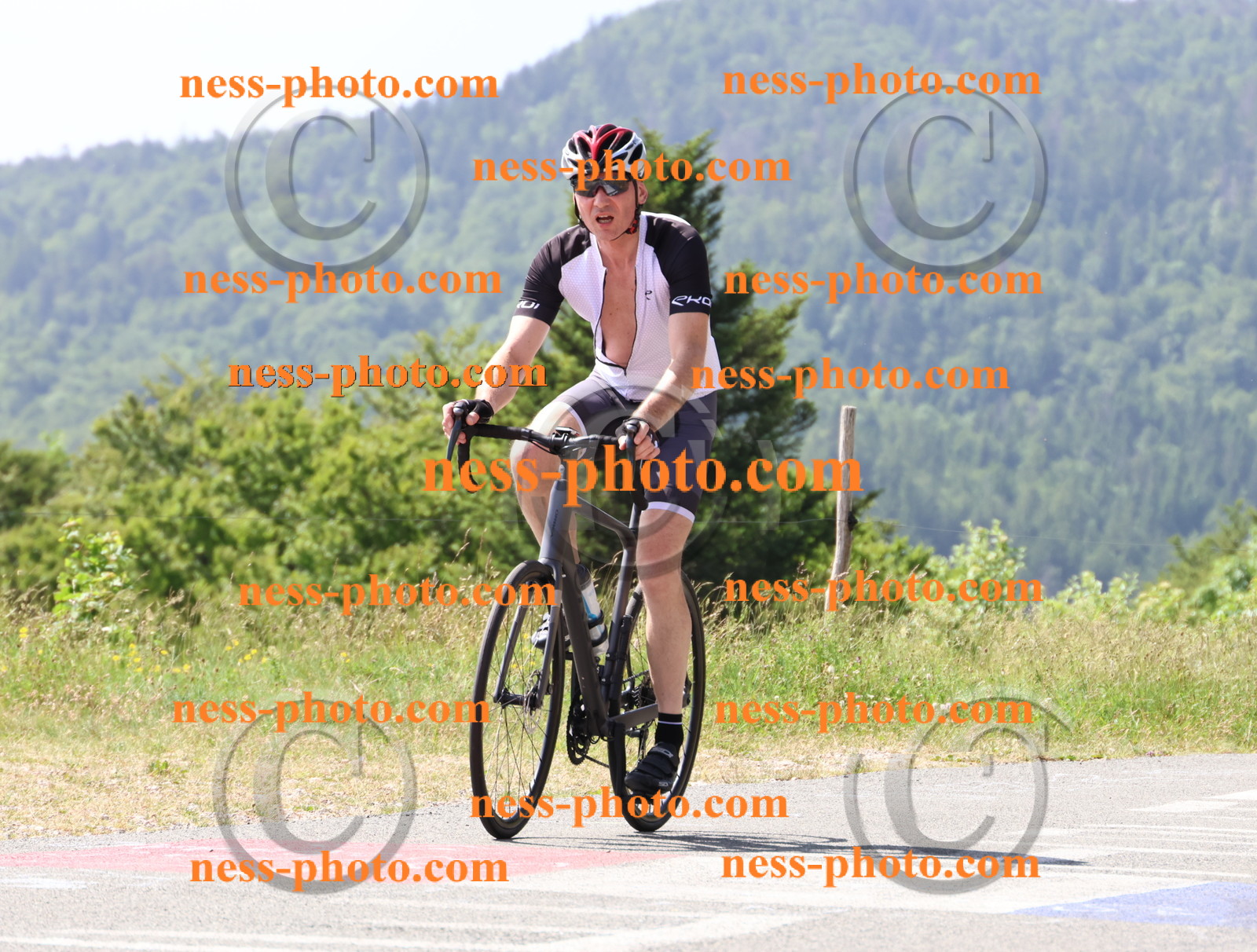 Col du grand Colombier (1334).JPG